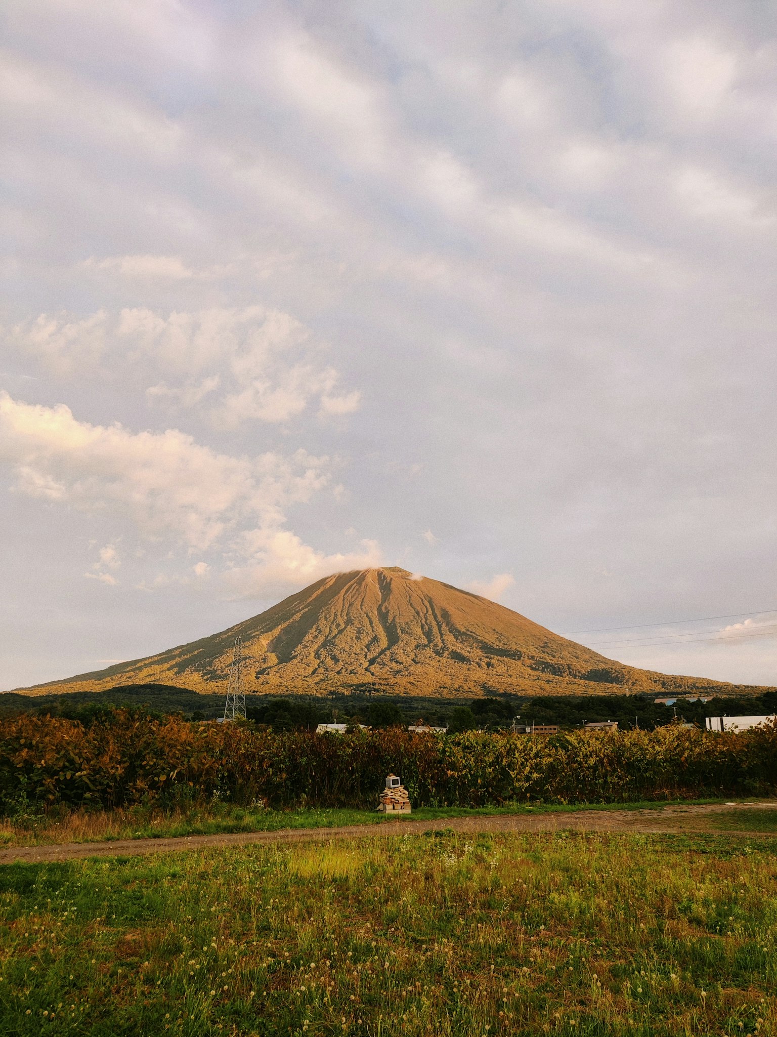 Pemandangan gunung yang indah saat matahari terbenam dengan latar depan rumput