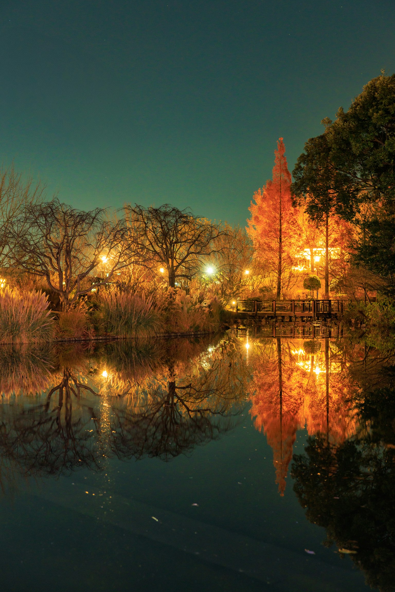 Bella scena notturna con alberi arancioni brillanti e riflessi sull'acqua