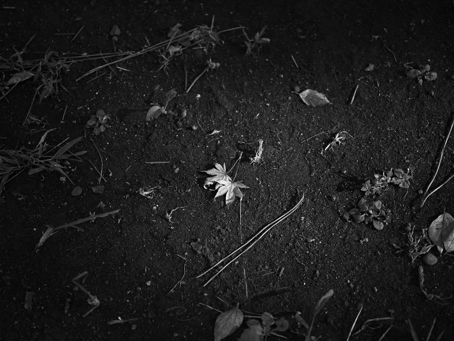 photo-r75iCS4Y2fgm6MnRkJWh-image