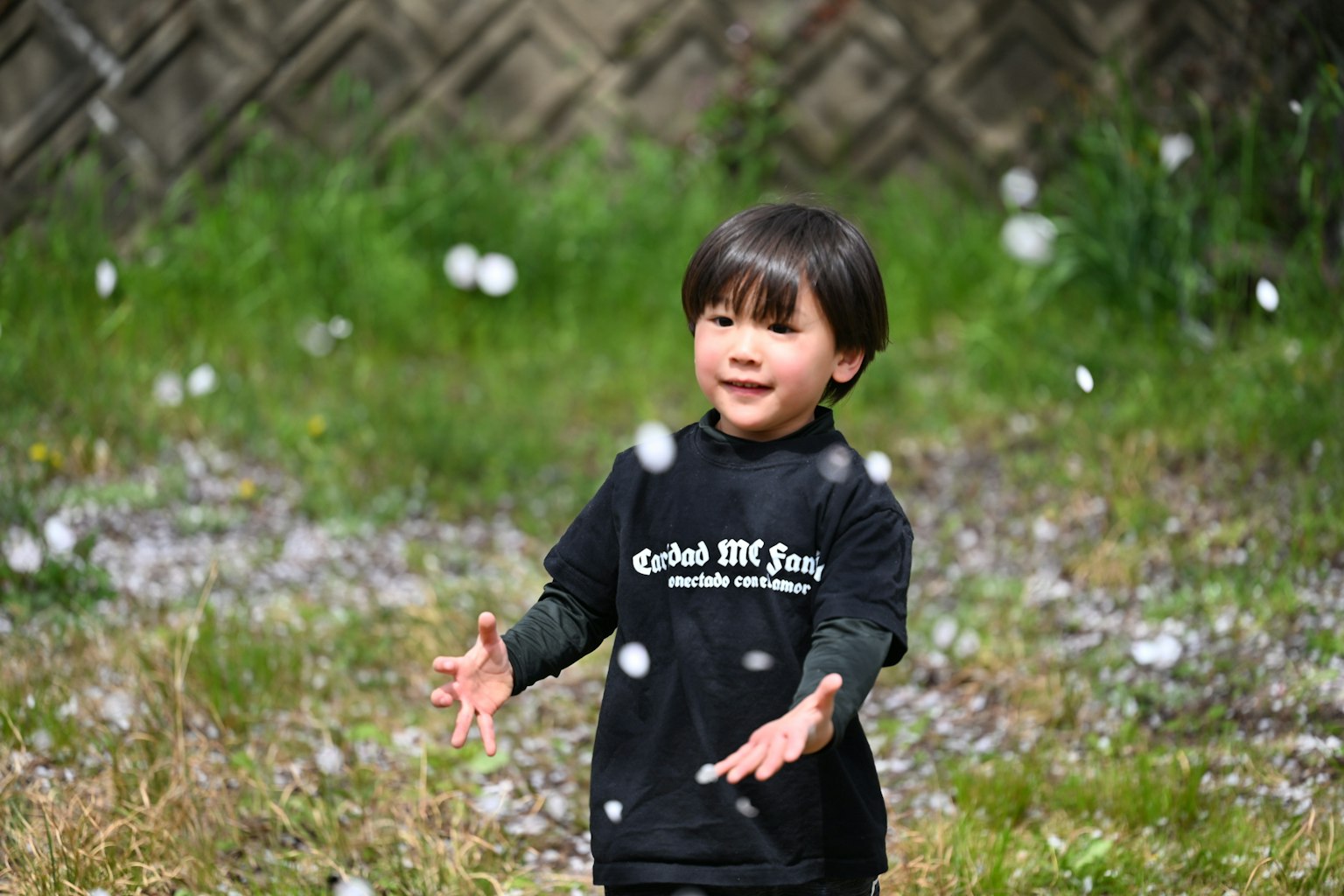 Bambino che gioca tra i petali di ciliegio in un'area erbosa