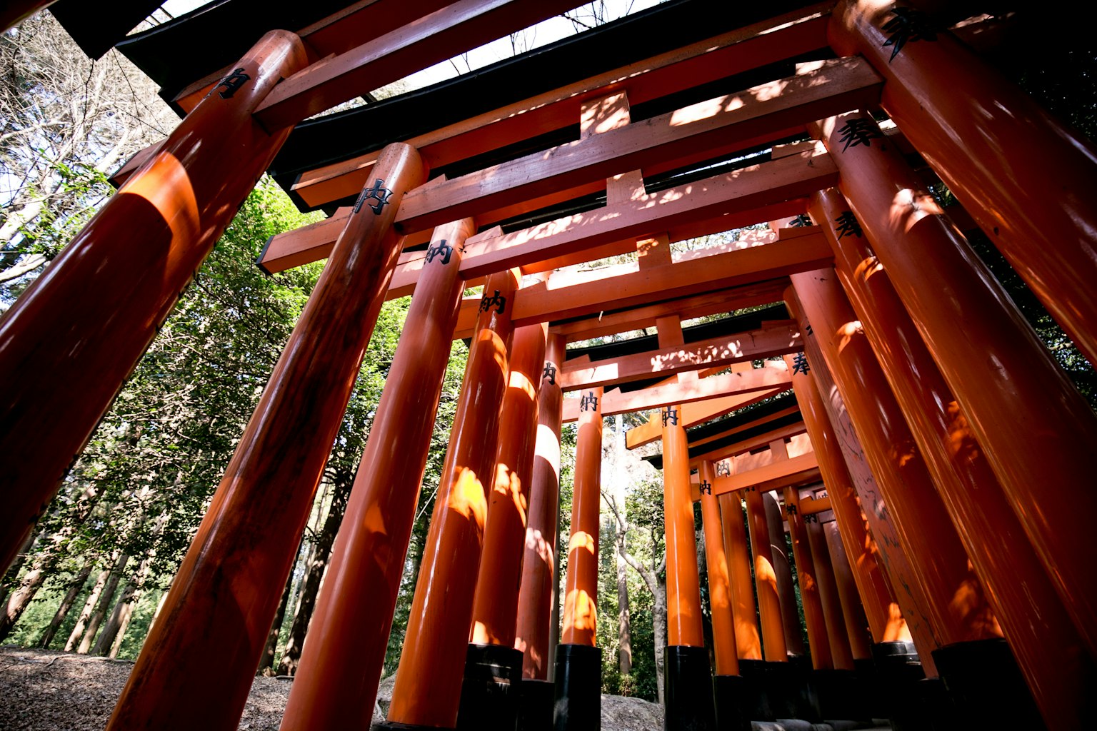 ทิวทัศน์ที่น่าประทับใจของประตูโทริอิสีแดงในศาลเจ้า