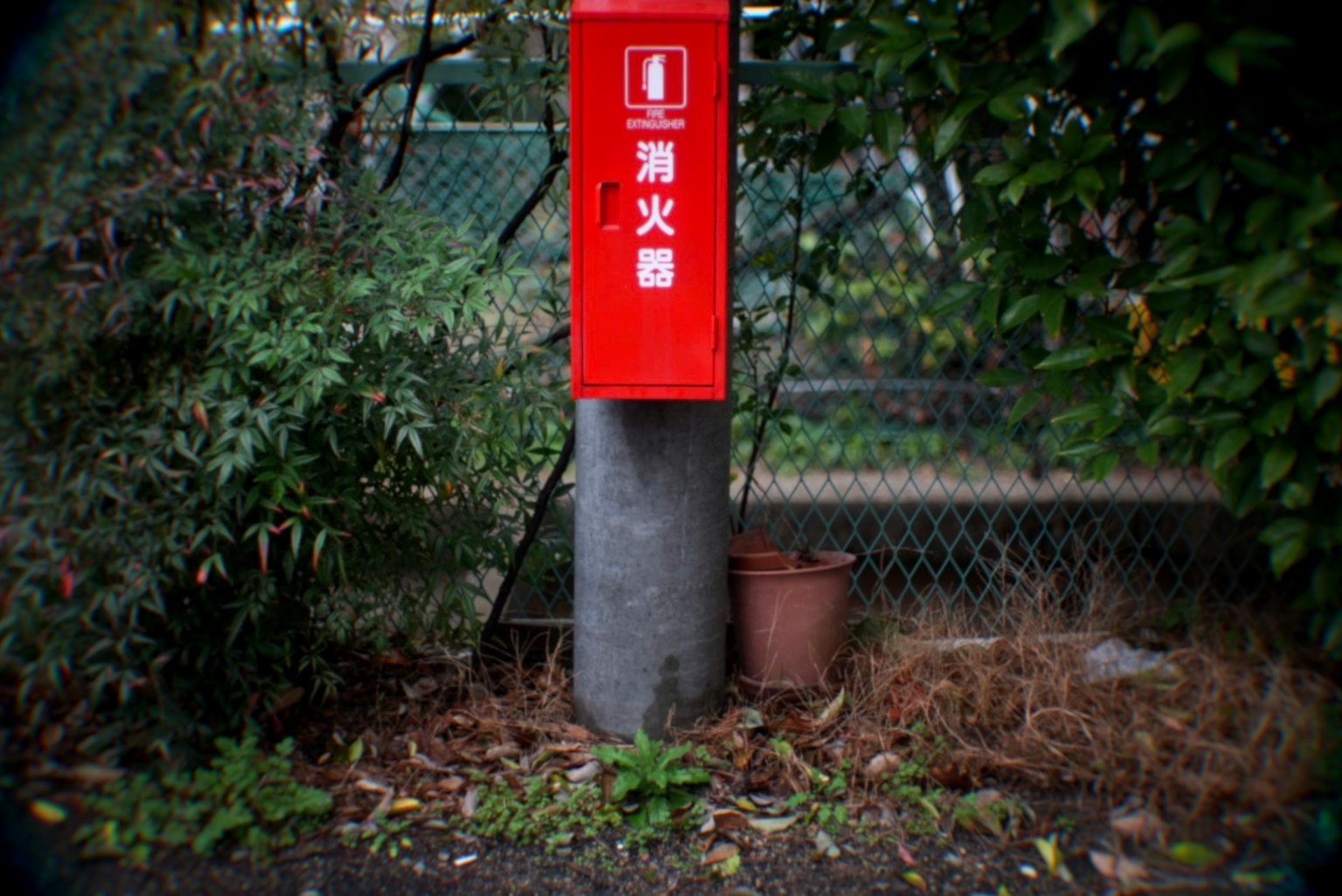 Una foto di una cassa di estintore rossa in un ambiente esterno verde