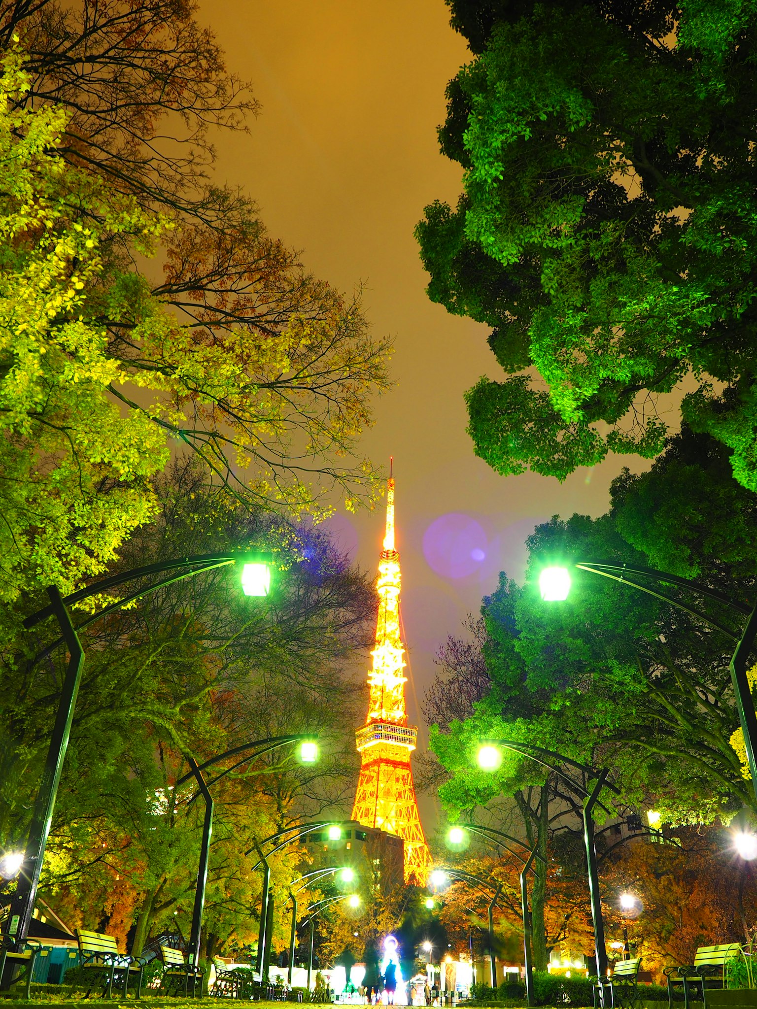東京塔在綠色樹木間美麗照亮的夜景