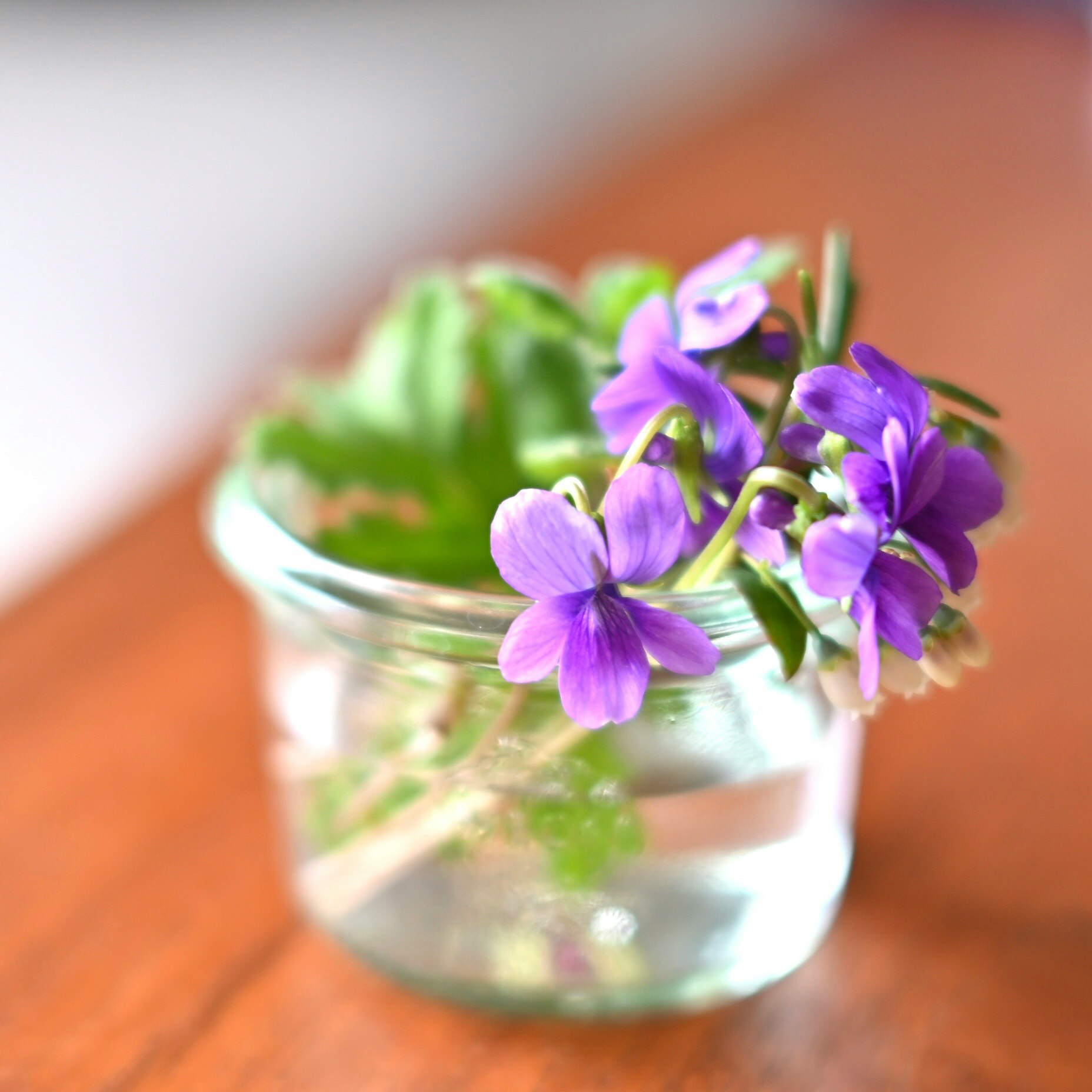 ビルベリーの花の小さな花束をガラス瓶に生けた野の花