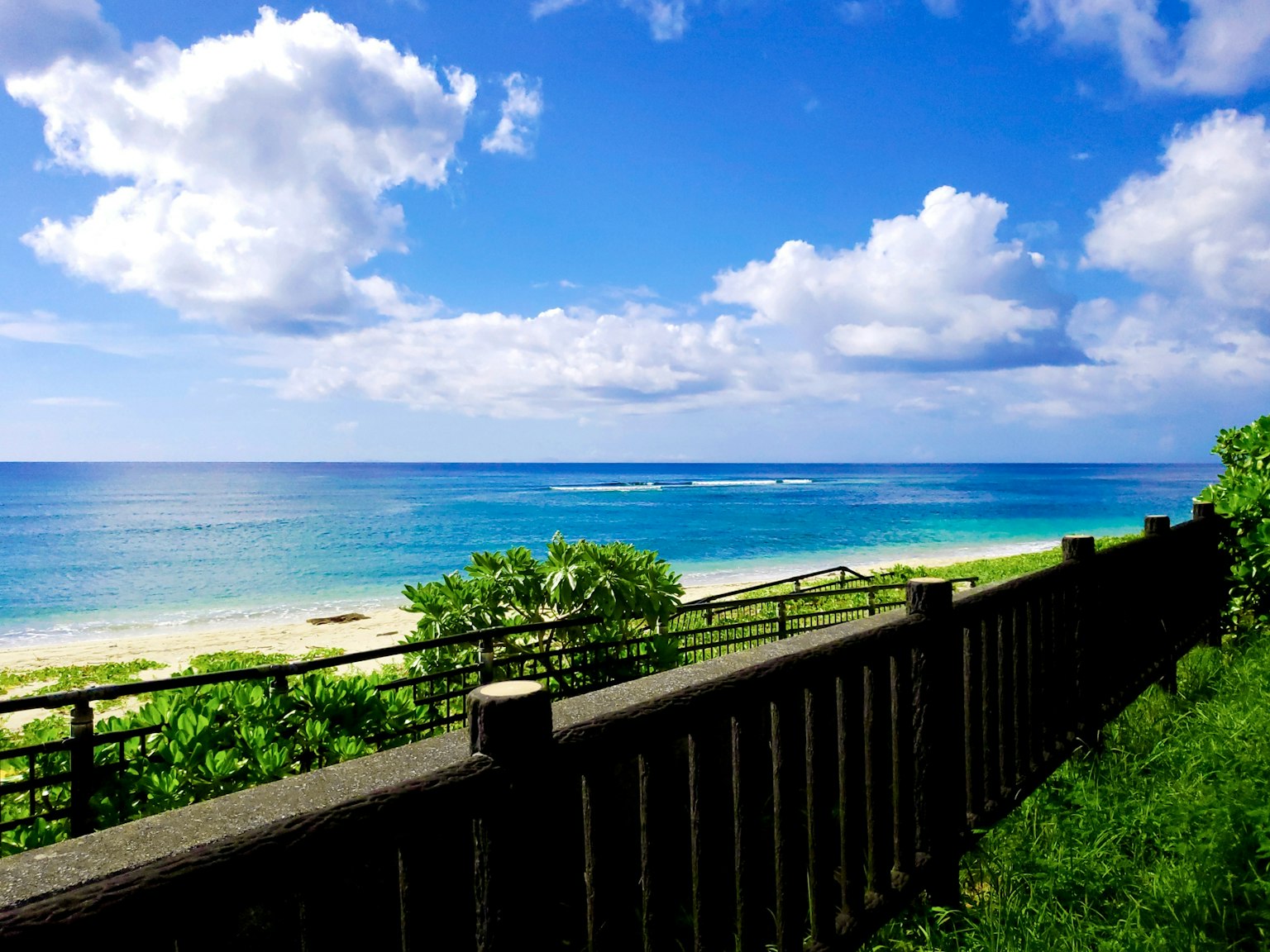 Scenic beach view with blue sea and sky green plants and wooden fence