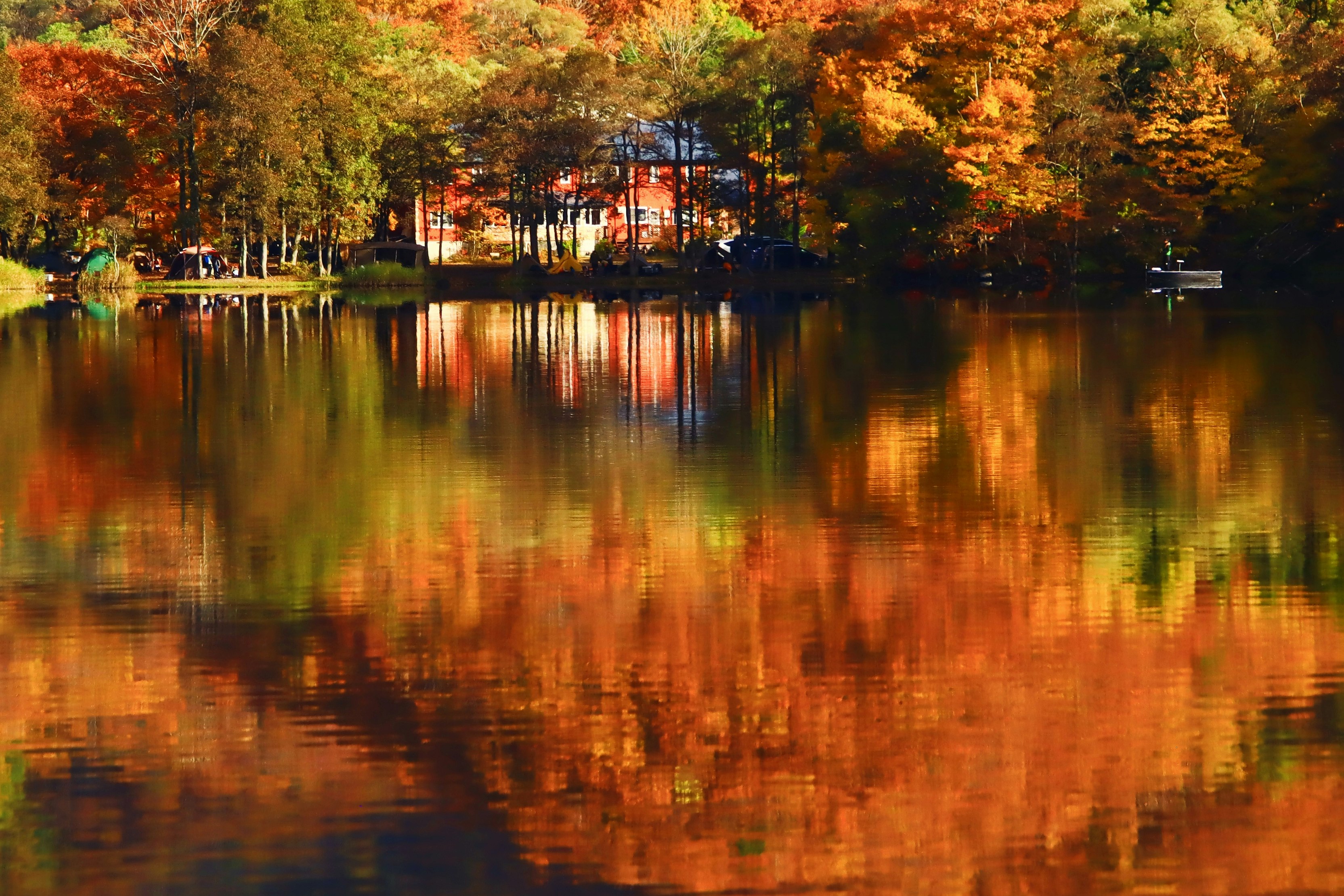 紅葉の並木と湖面に映る秋の景色