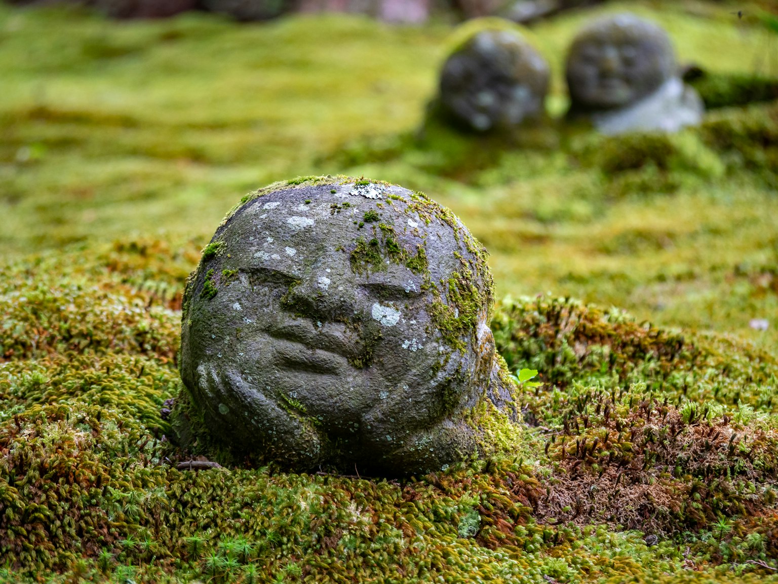 Esculturas de piedra de rostros parcialmente cubiertas de musgo