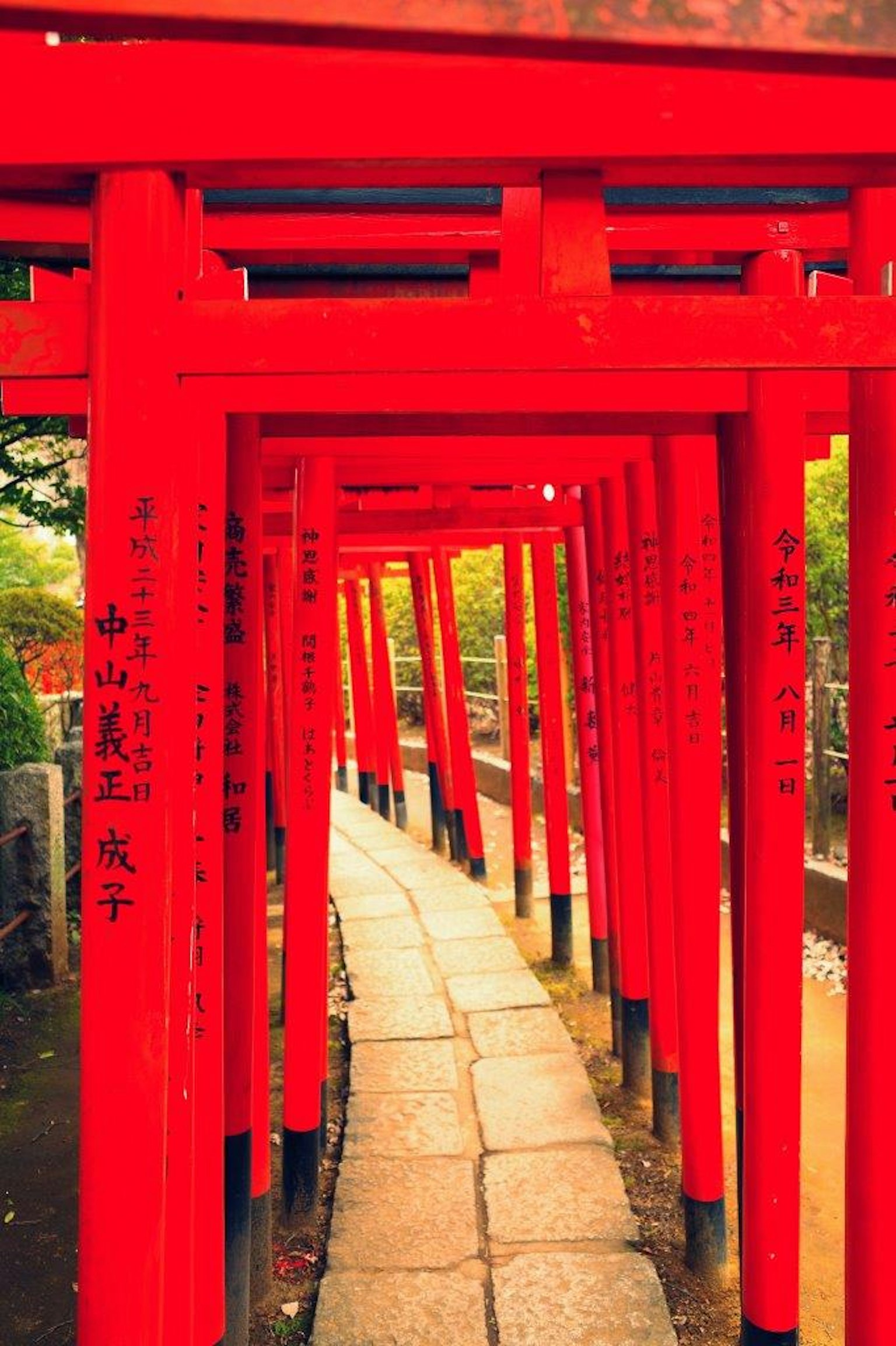 Sentiero fiancheggiato da torii rossi