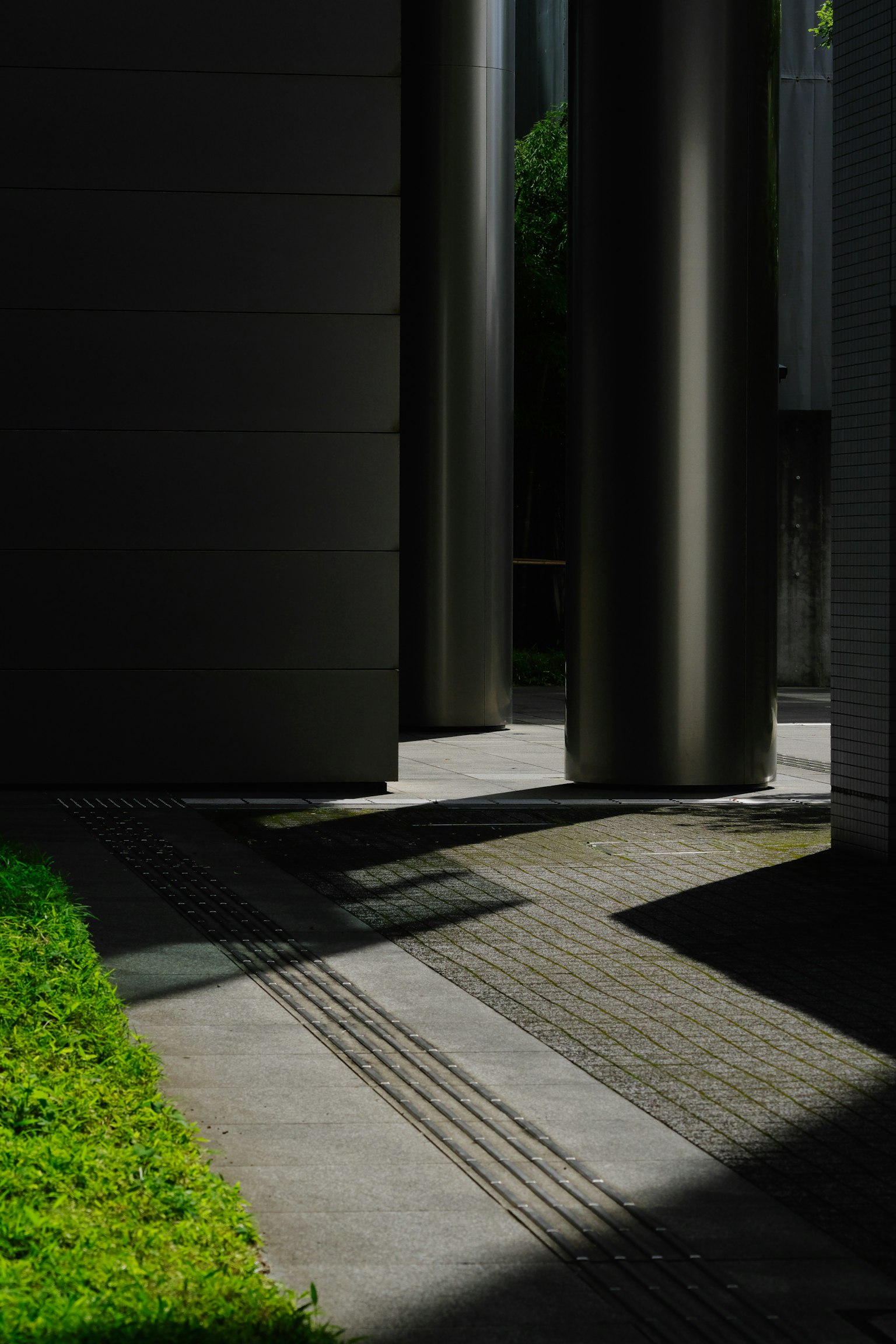 Kontrast von Schatten und Grün in einer modernen architektonischen Umgebung