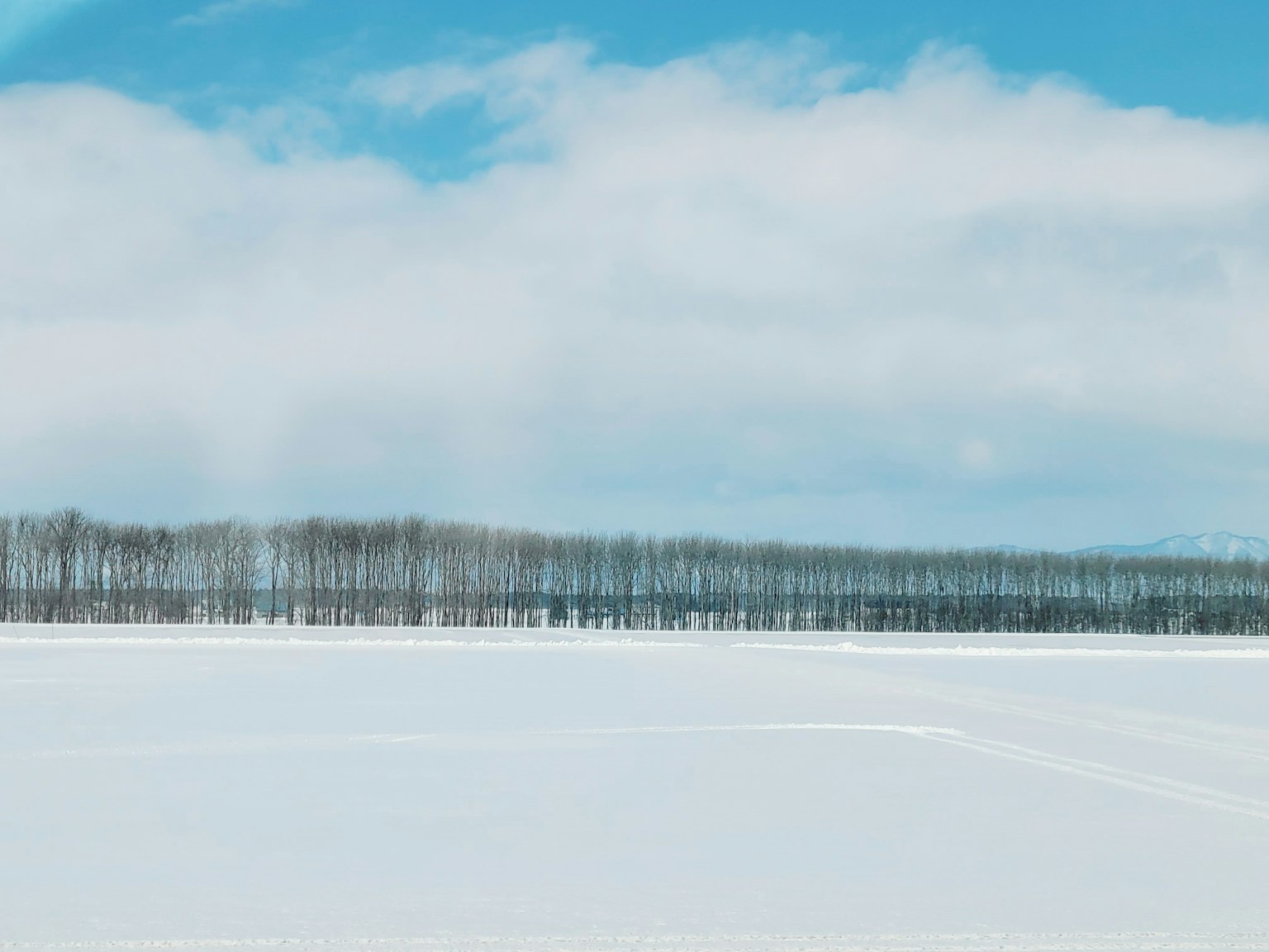 Weite verschneite Landschaft mit Bäumen unter einem blauen Himmel