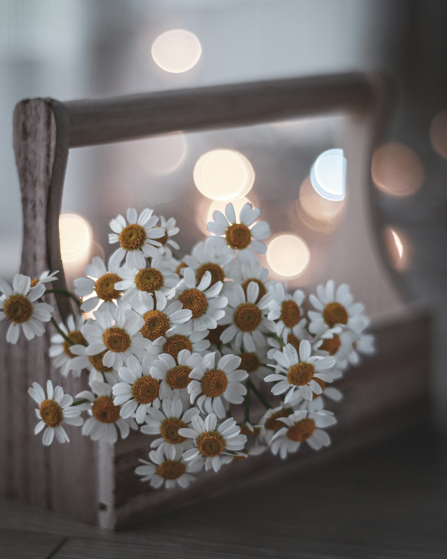 Image of white flowers in a wooden basket with a soft light background