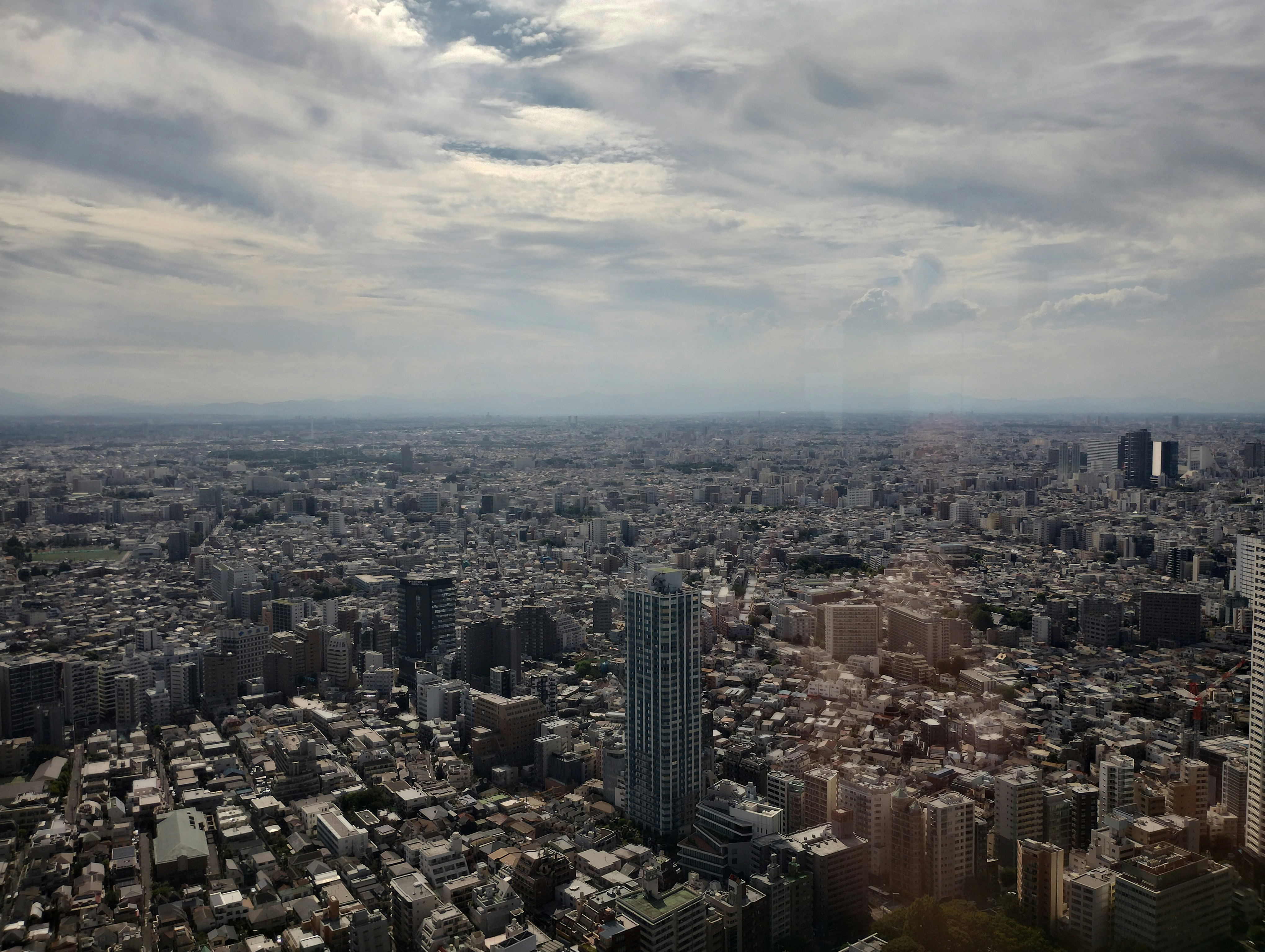 高層ビルから見下ろす大都市の街並み