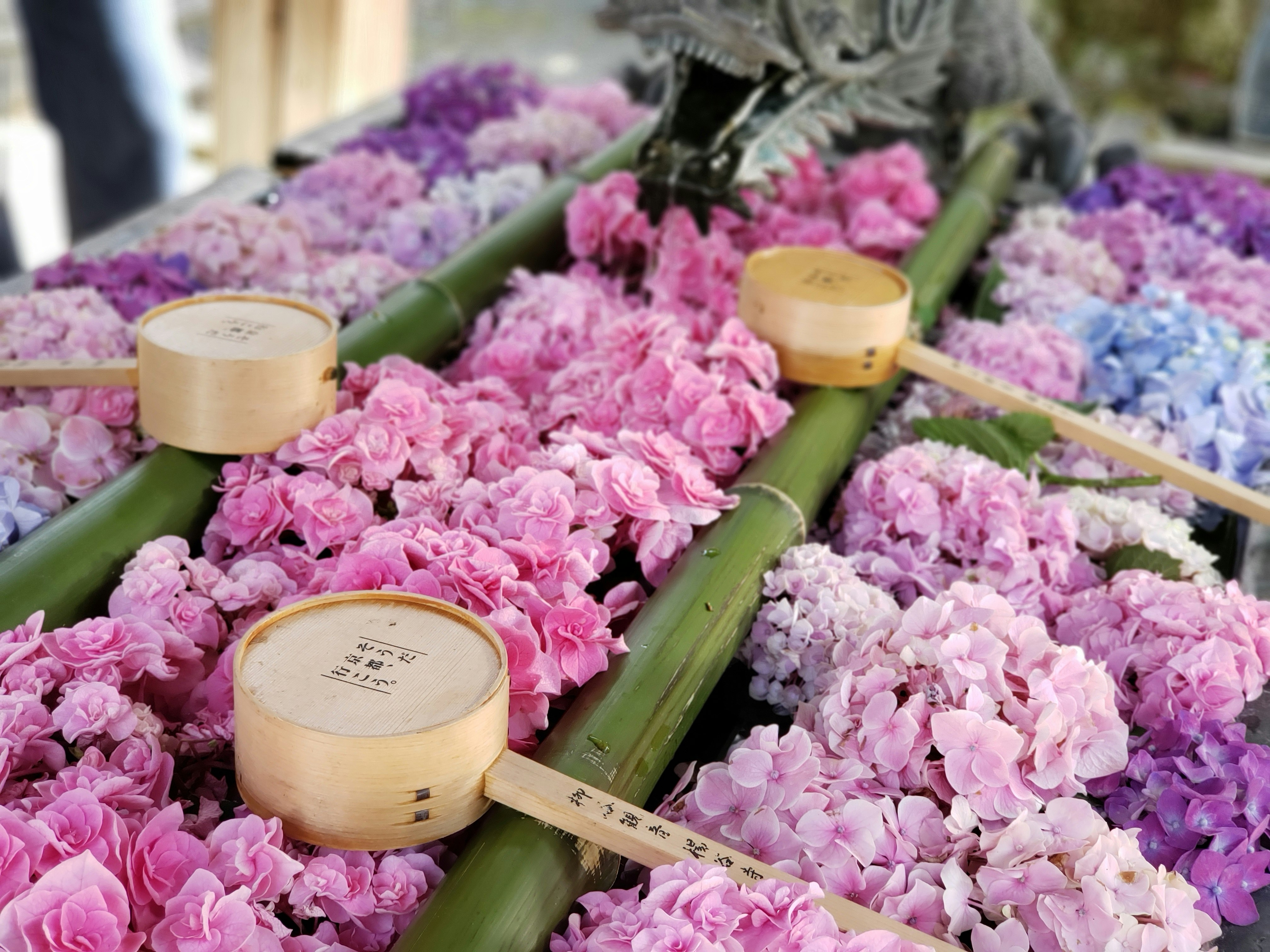 ピンクと紫のカーネーションが並ぶ花束とリボンのある花屋の陳列