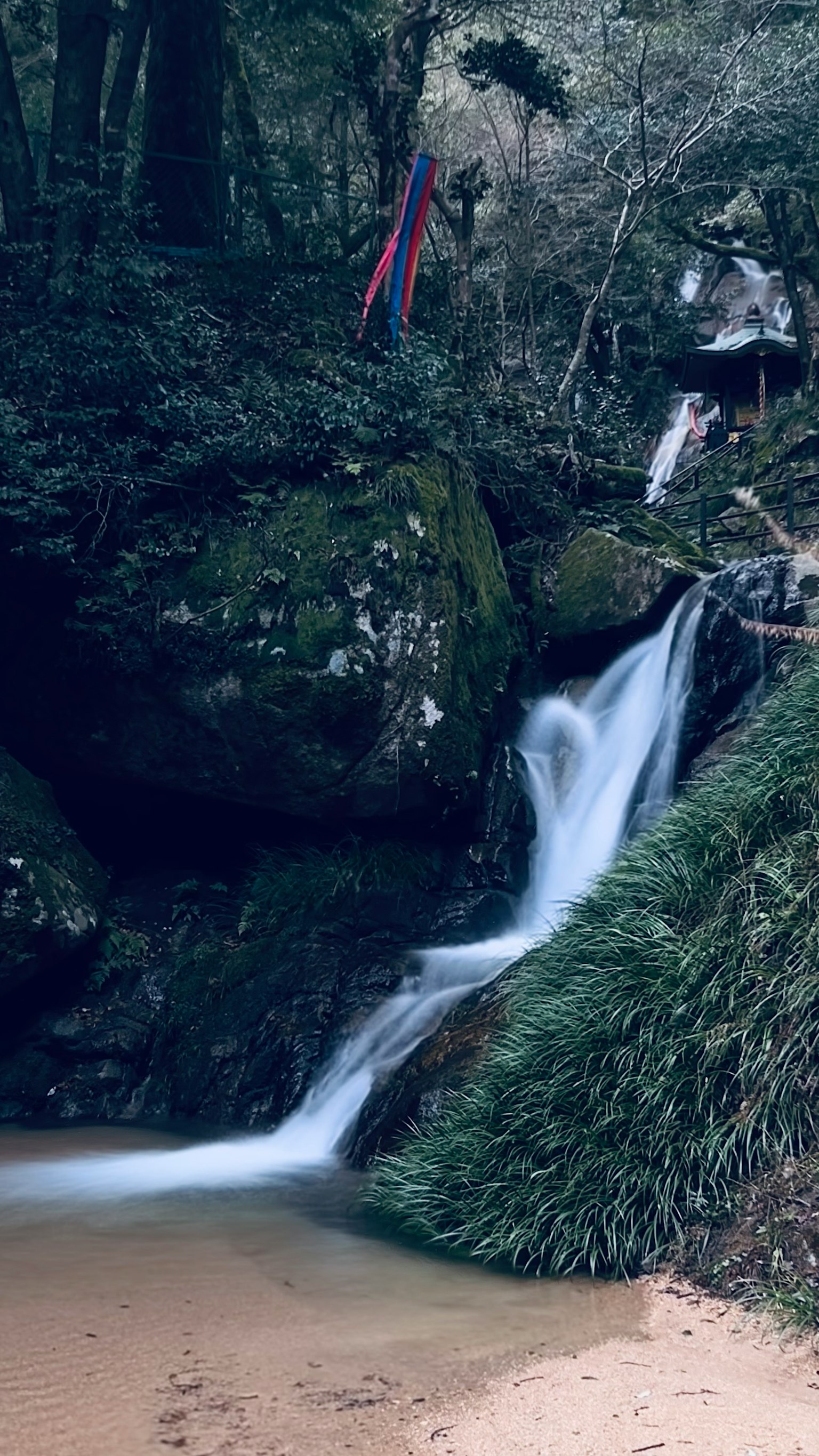 Una piccola cascata che scorre in una foresta circondata da vegetazione e rocce