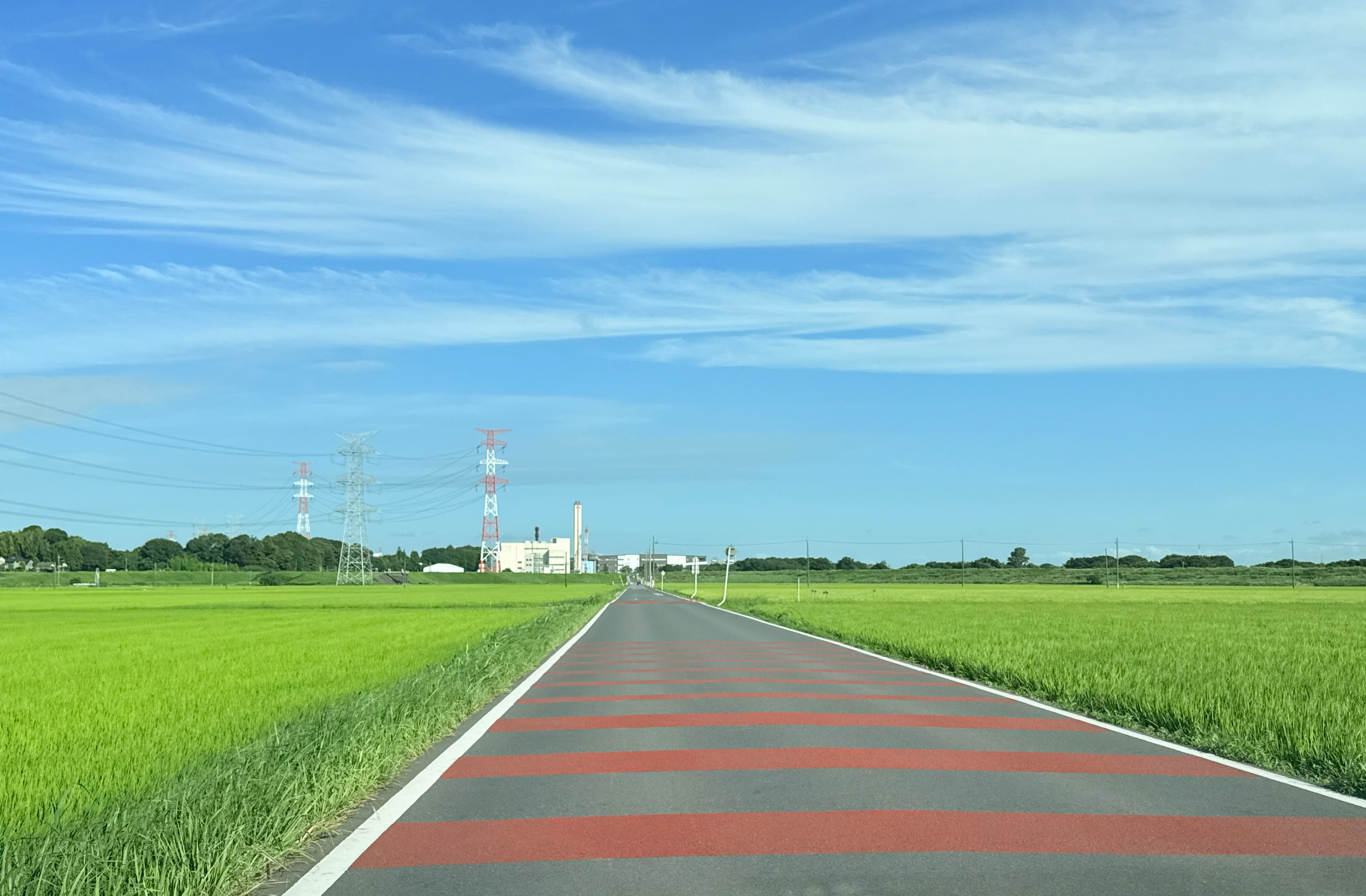 青空の下に広がる緑の田んぼと赤い横断歩道のある道路