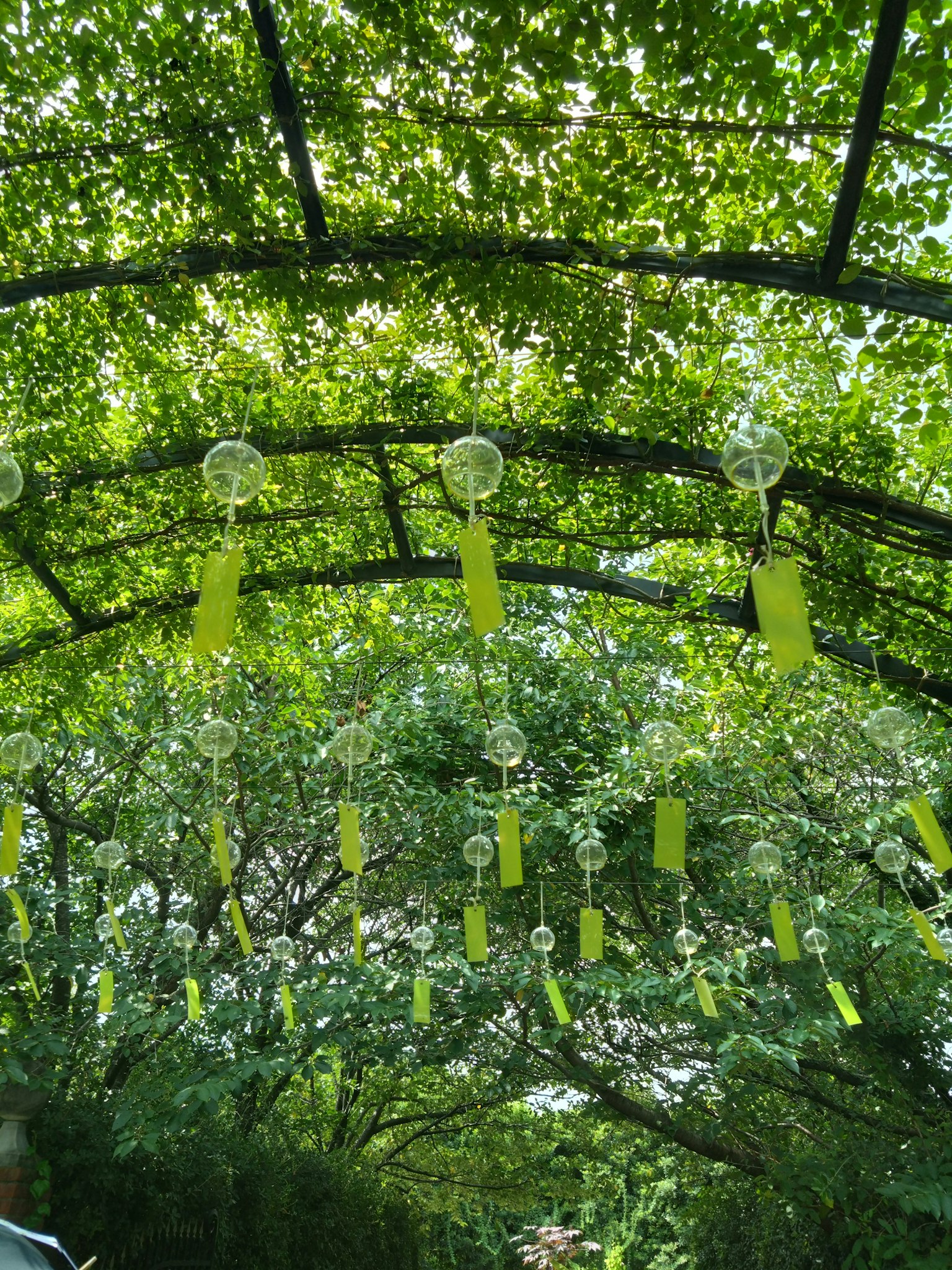 Un dosel de hojas verdes con adornos transparentes y cintas amarillas colgando debajo