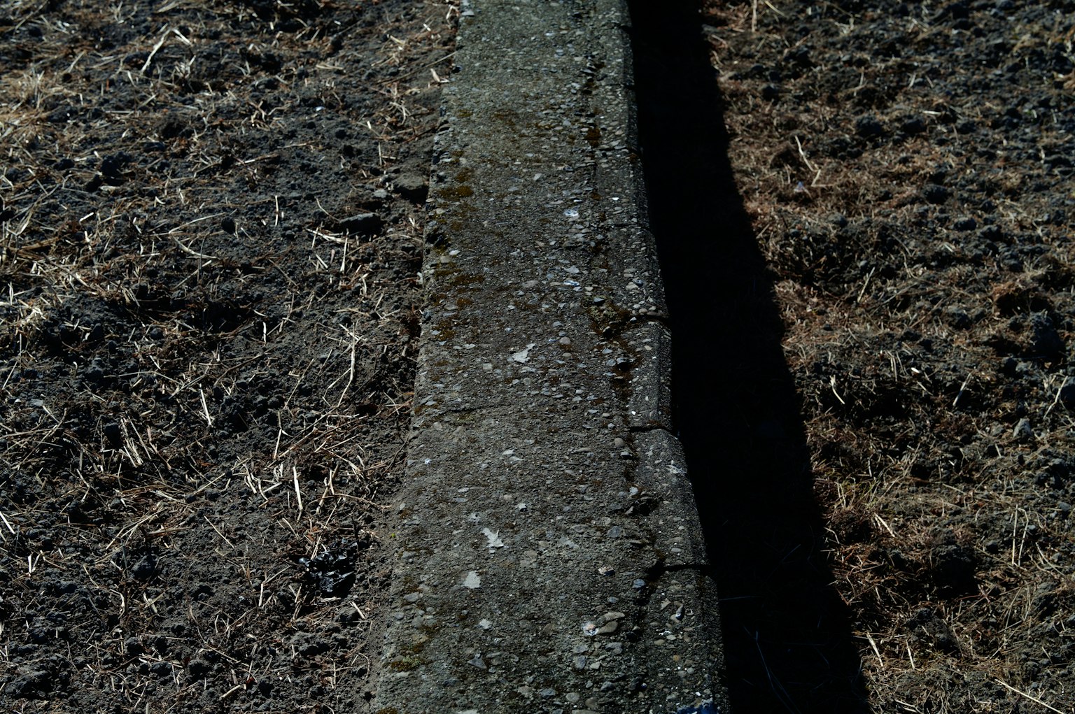 photo-rE59Bdn9Uzy7qUGq8lhk-image
