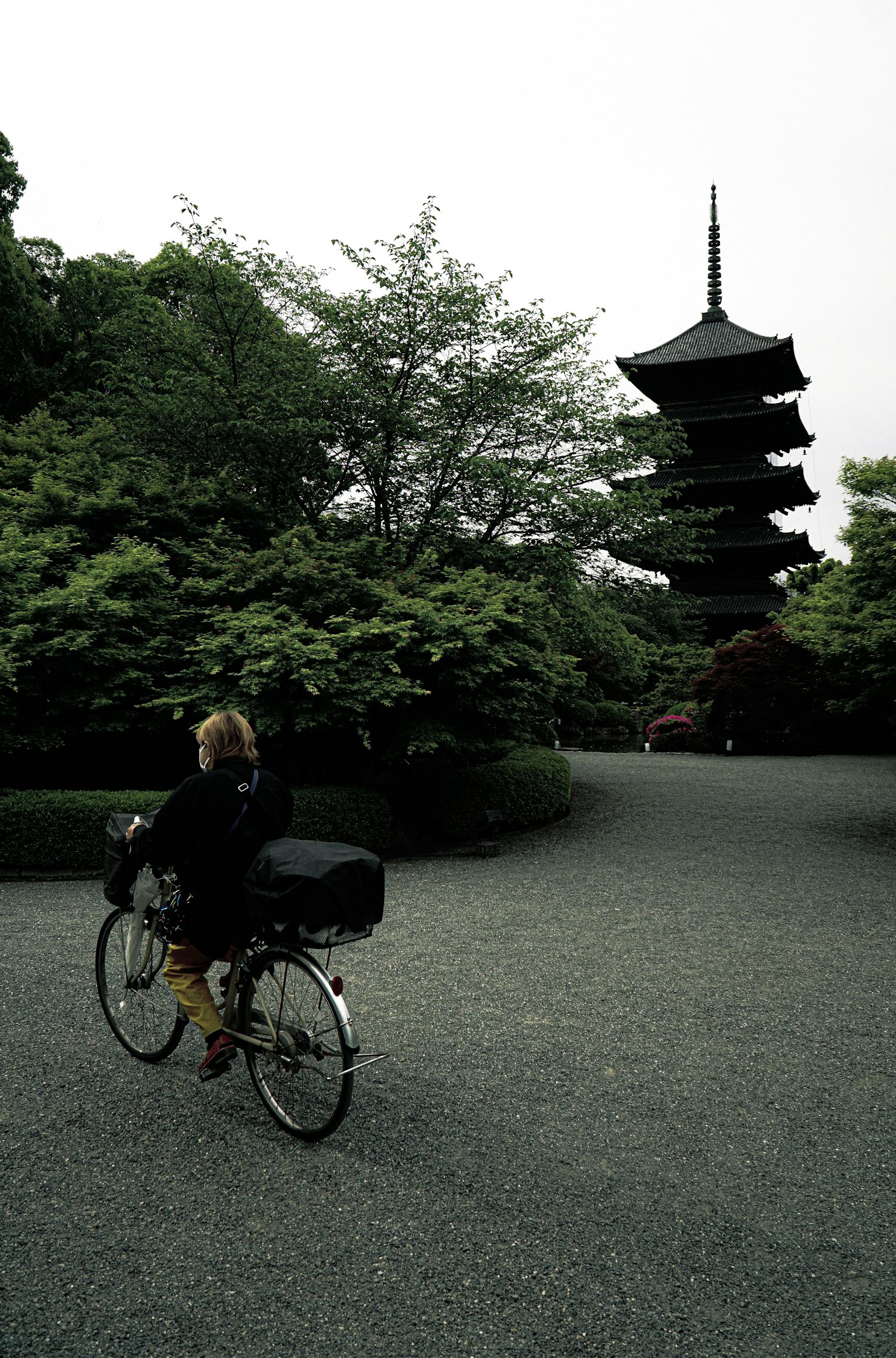 一位騎著腳踏車的人站在郁郁蔥蔥的公園裡，背景是一座塔