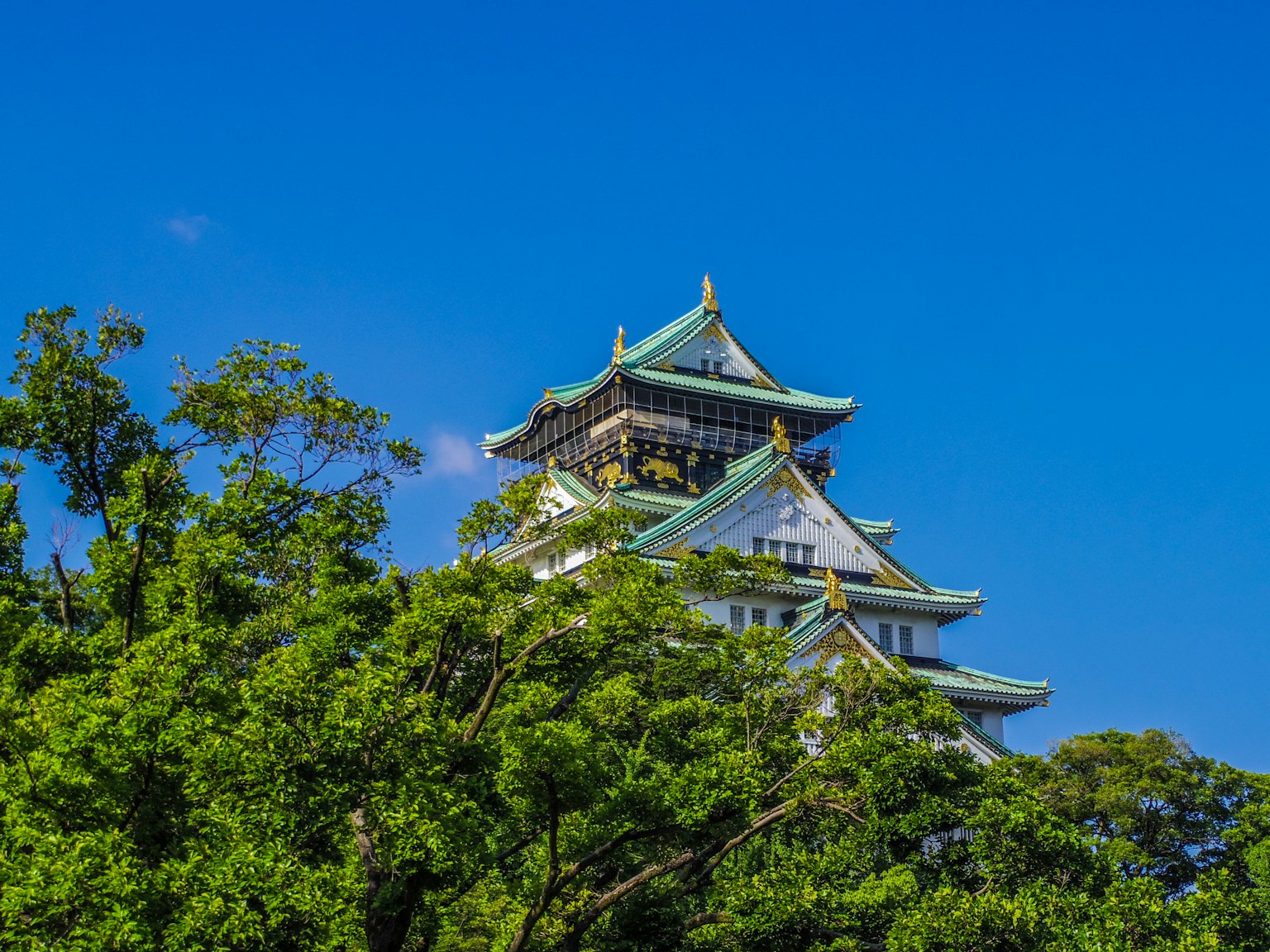 Cảnh đẹp của lâu đài Osaka dưới bầu trời xanh được bao quanh bởi những cây xanh tươi tốt