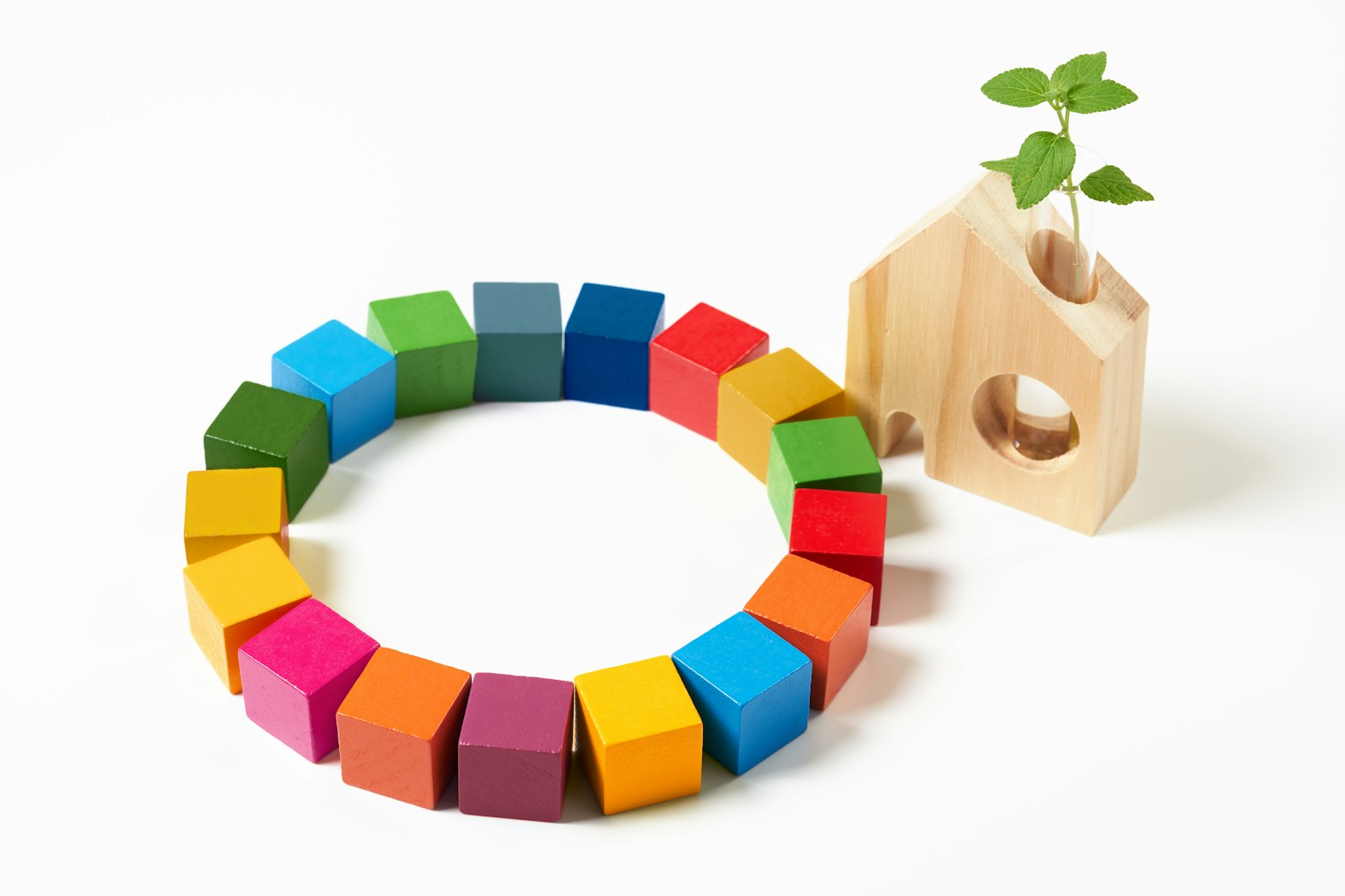 Blocchi di legno colorati disposti in cerchio con una piccola pianta in una casa di legno