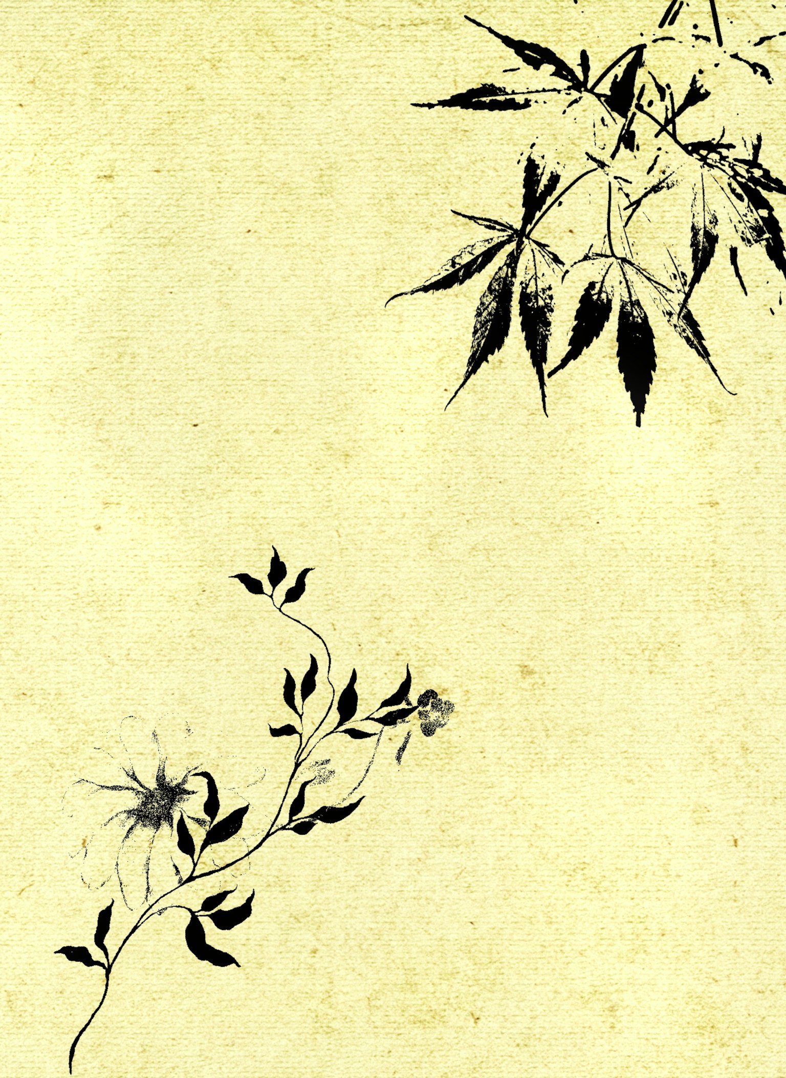 Gambar menampilkan desain daun dan bunga hitam di latar belakang kuning pucat