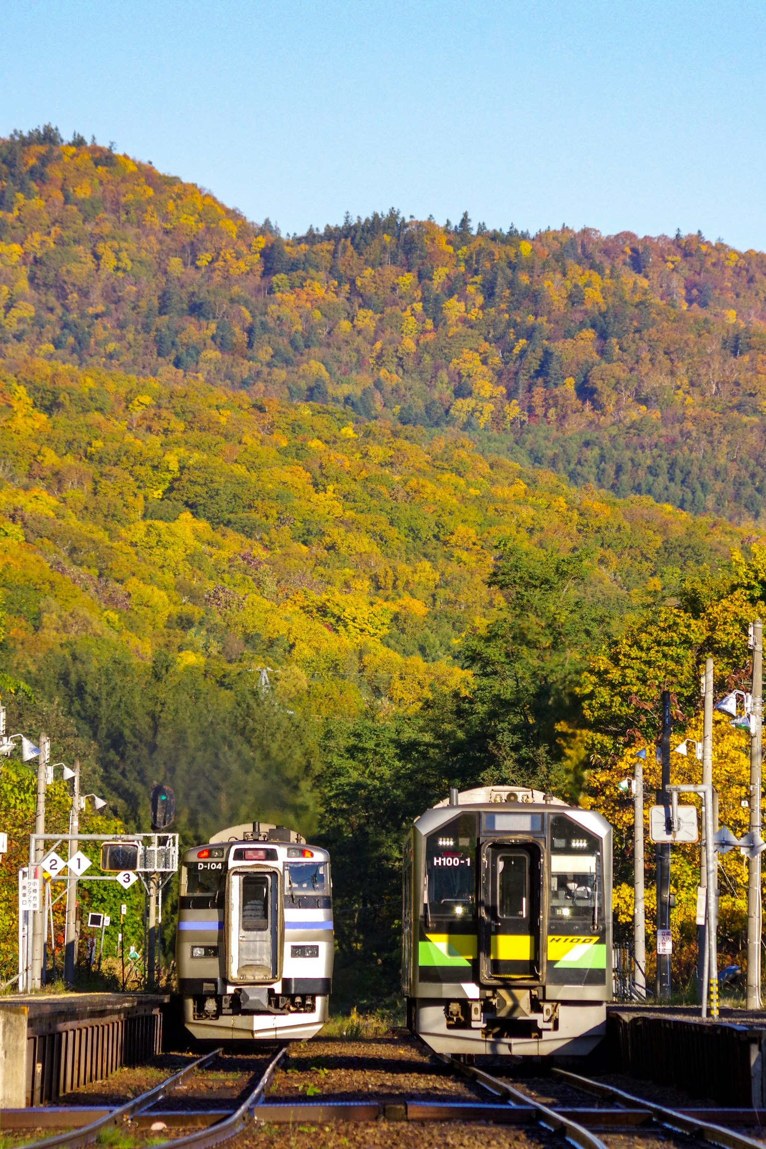 Two trains at a station with vibrant autumn foliage in the background
