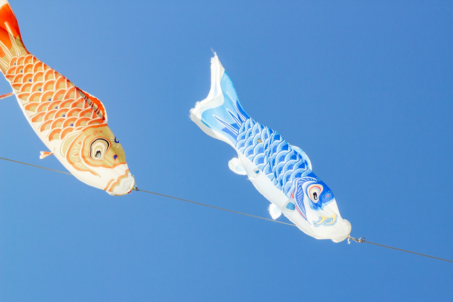 Bandiere di pesci koi rossi e blu che nuotano in un cielo blu