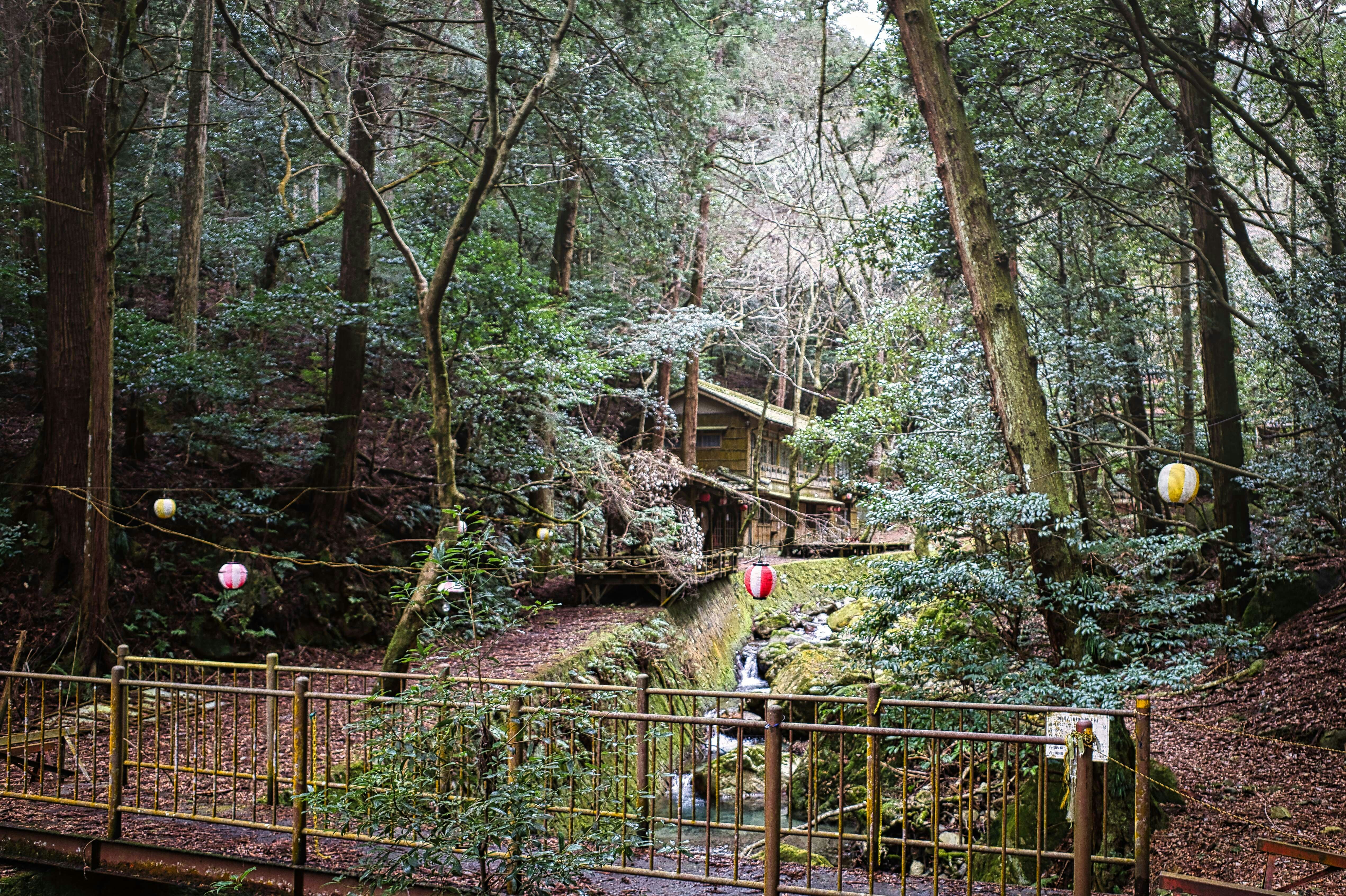 sentier en forêt avec rambardes en bois et chemin sinueux