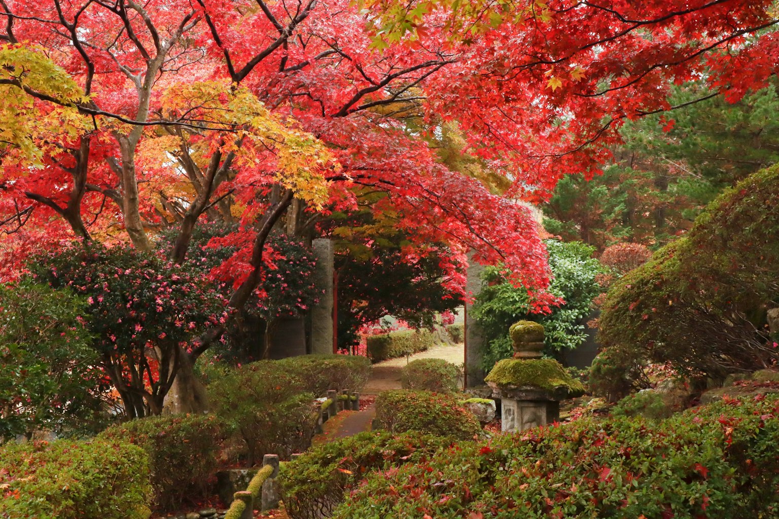 สวนสวยที่มีใบไม้สีแดงและสีเหลืองสดใส