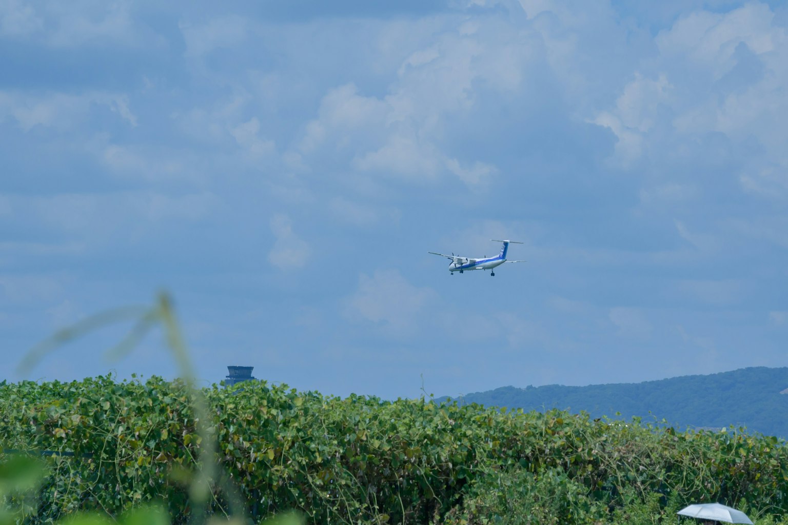 Ein Flugzeug fliegt im blauen Himmel über grünen Feldern