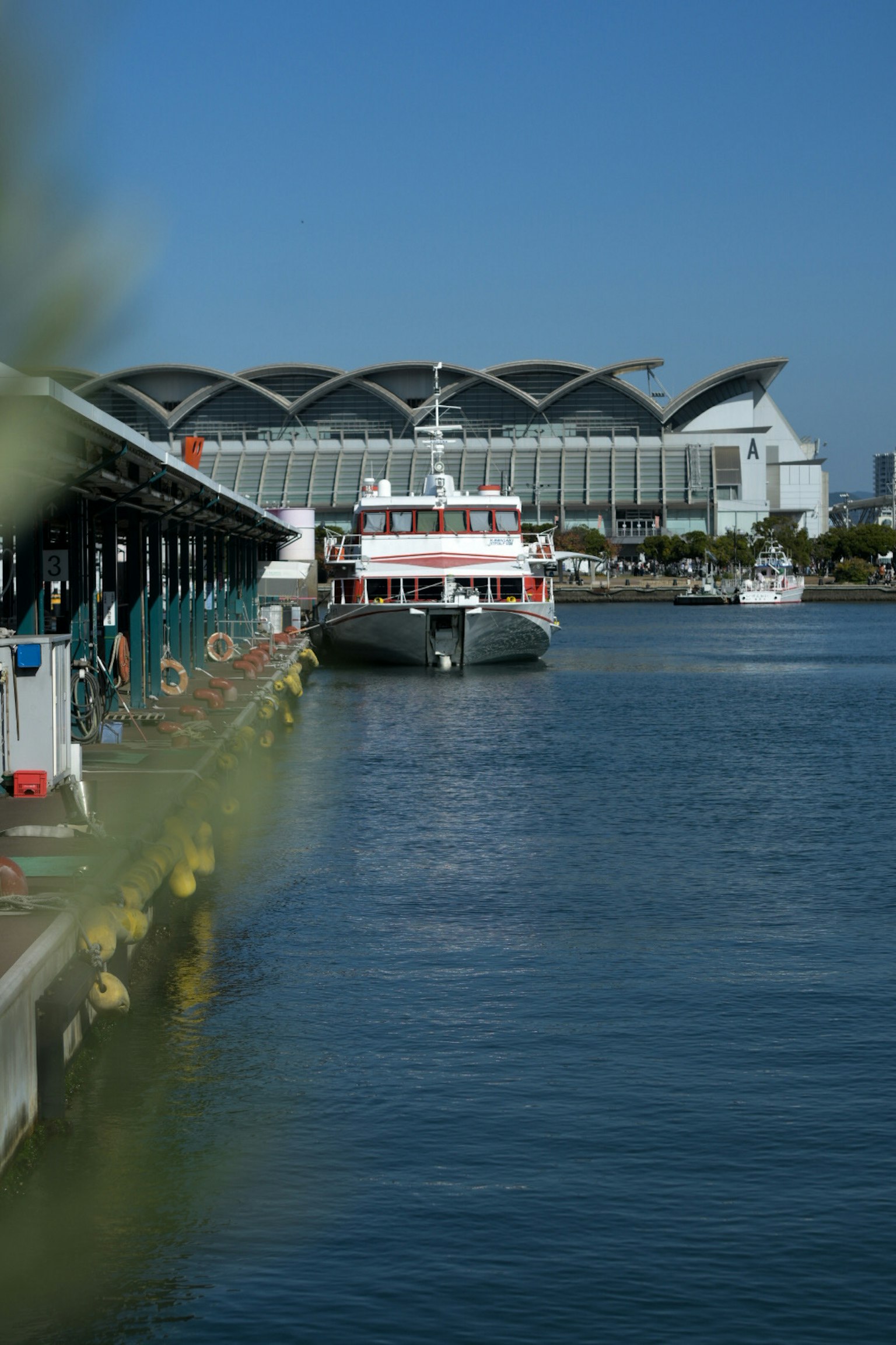 停靠在港口的白色船只和背景中的现代建筑