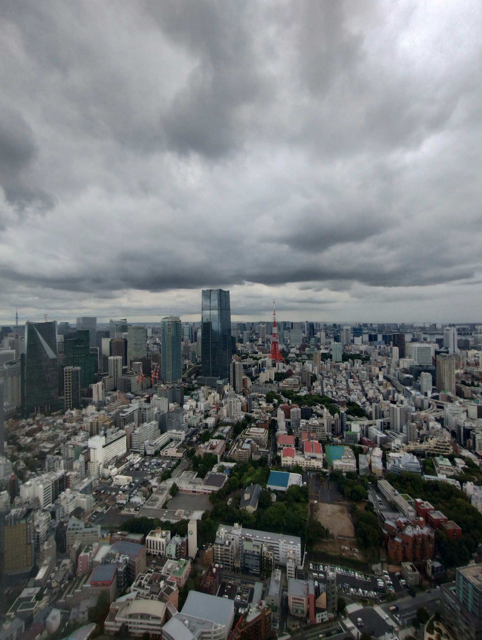 Panoramablick auf die Skyline von Tokio mit bewölktem Himmel