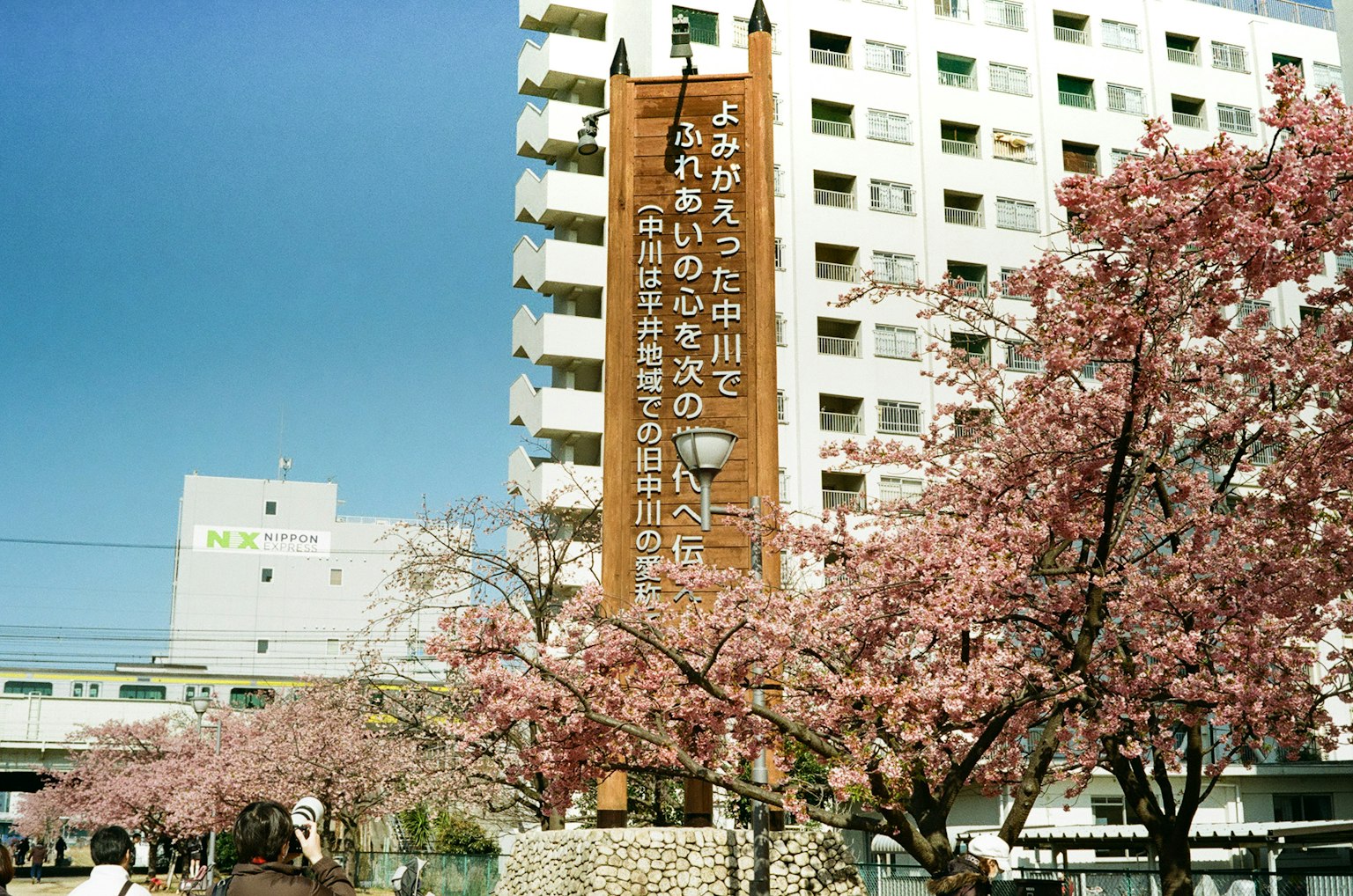 櫻花樹和公寓建築的景觀，帶有標誌