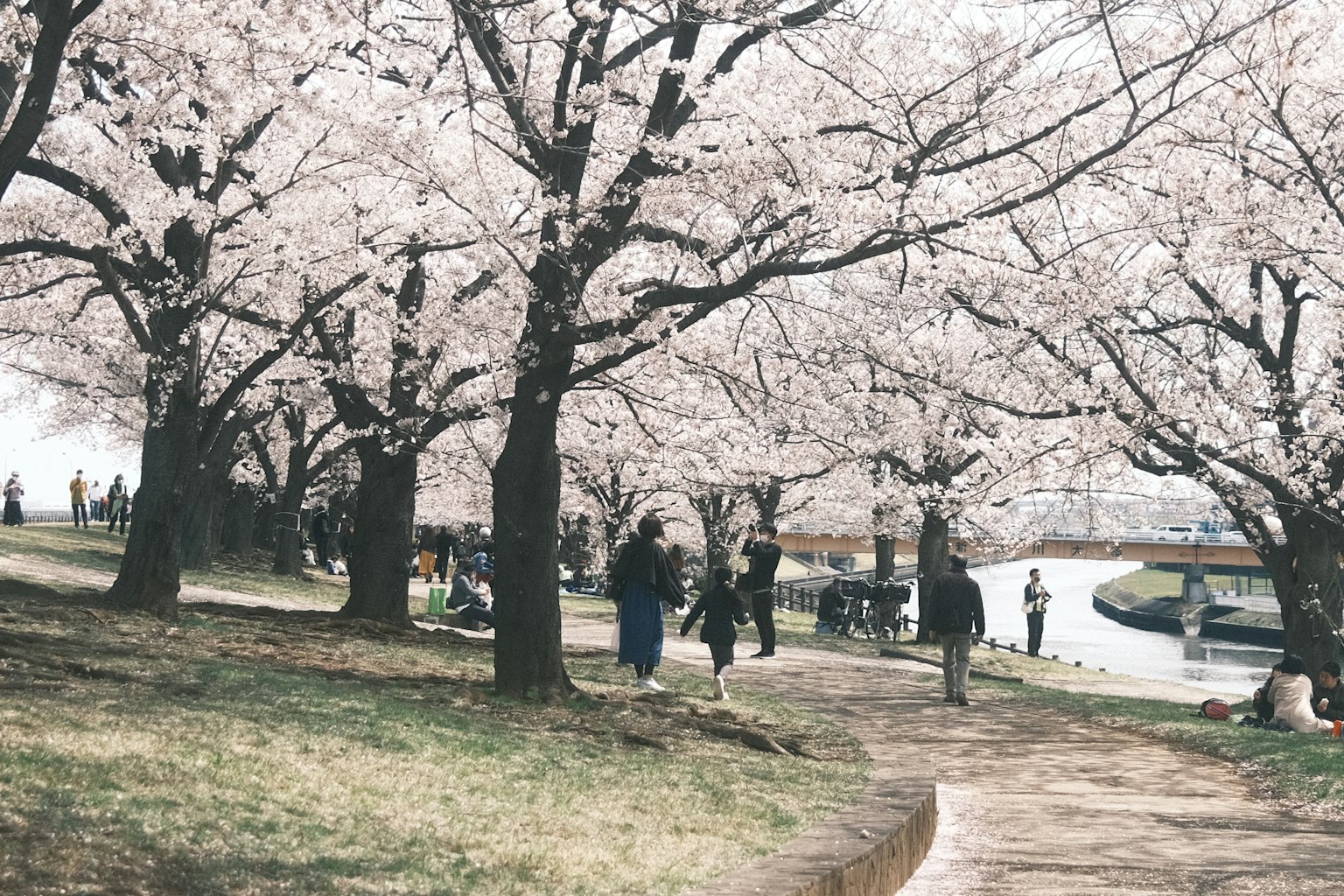 photo-rHr1sCsXYm5Qv0A7e6N5-image