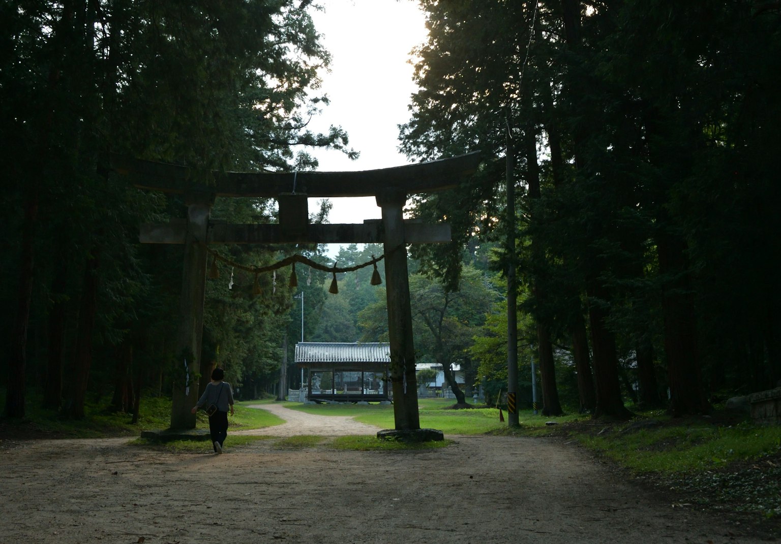 Vista escénica de una puerta torii y un edificio de santuario en un bosque