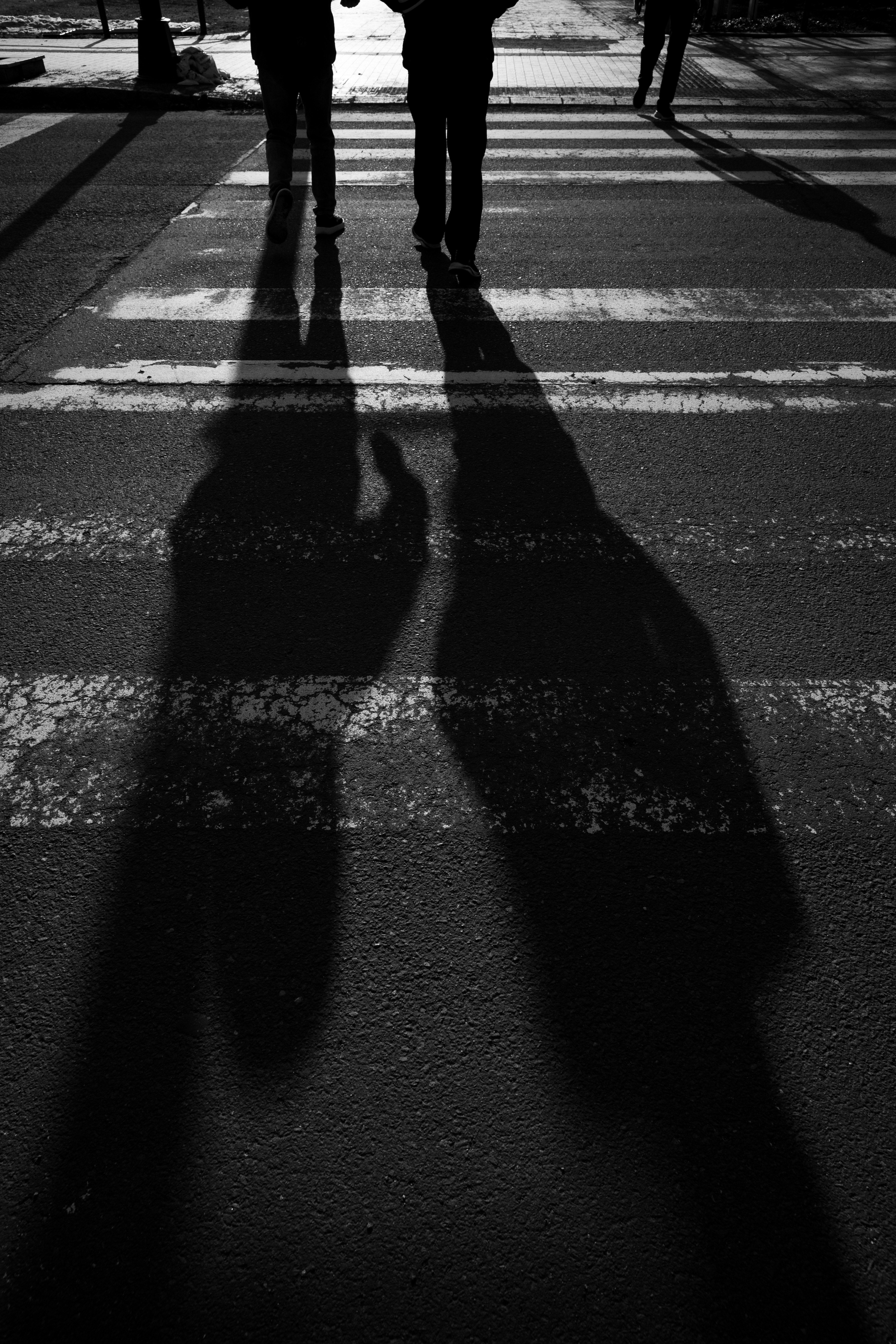 人々の影が交差点の白い横断歩道に映るモノクロ写真
