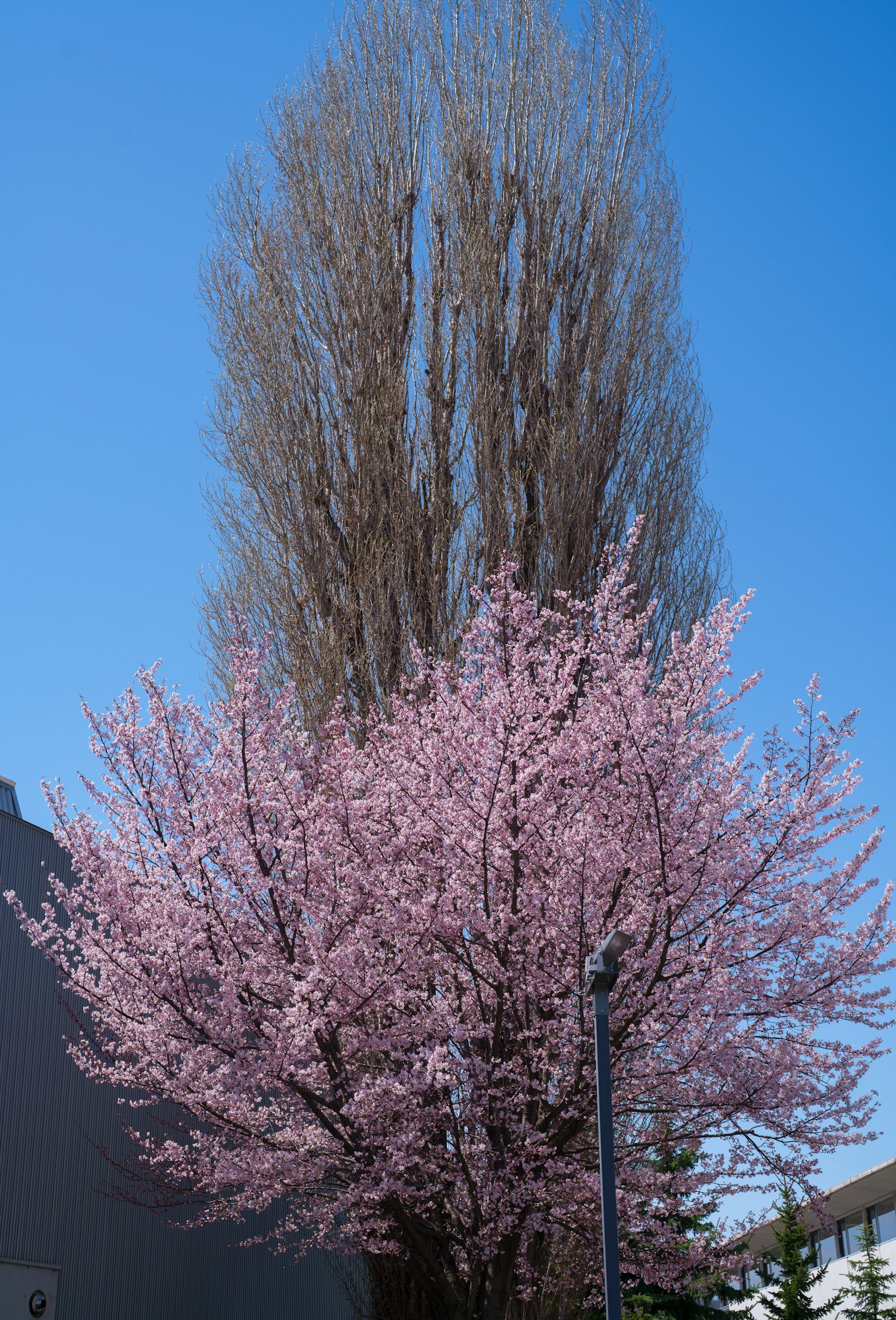 photo-rID6CG4q0ieSeupxeKsx-image