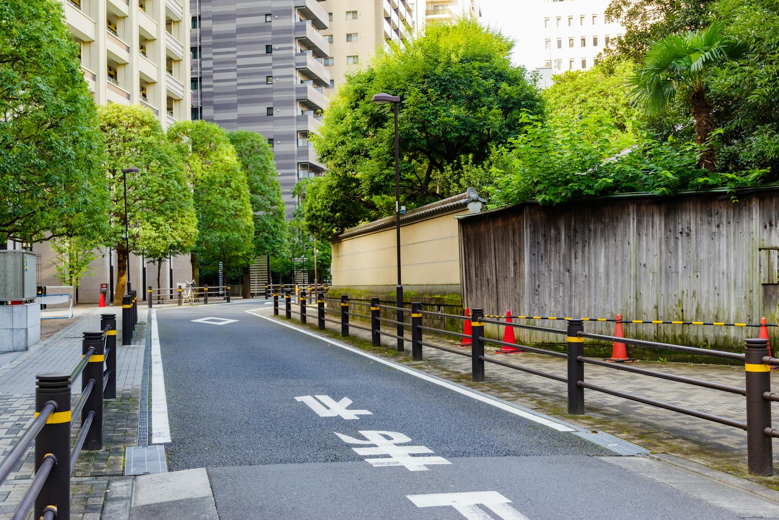 Una scena di strada serena circondata da alberi verdi con edifici e un muro di legno