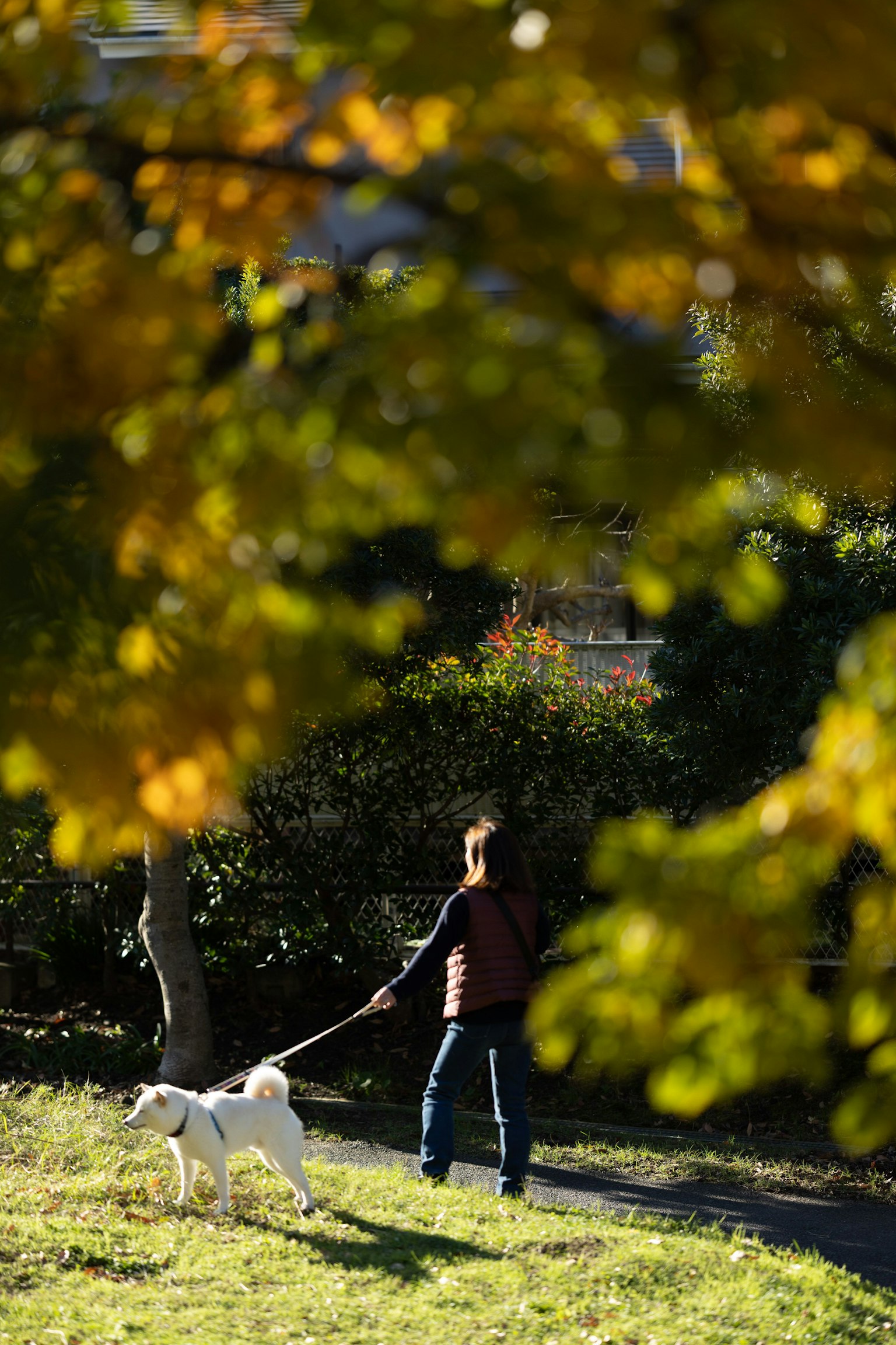 photo-rIXuef0t0P6mpGUy3OVo-image