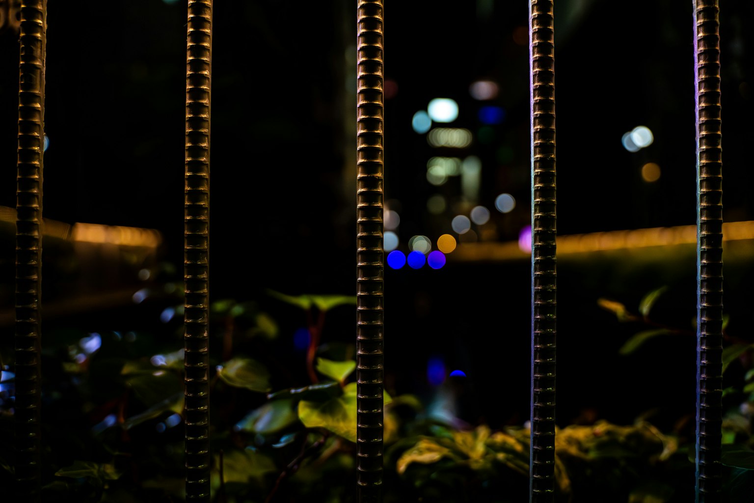 Lumières de la ville floues et feuilles vertes vues à travers une clôture de nuit