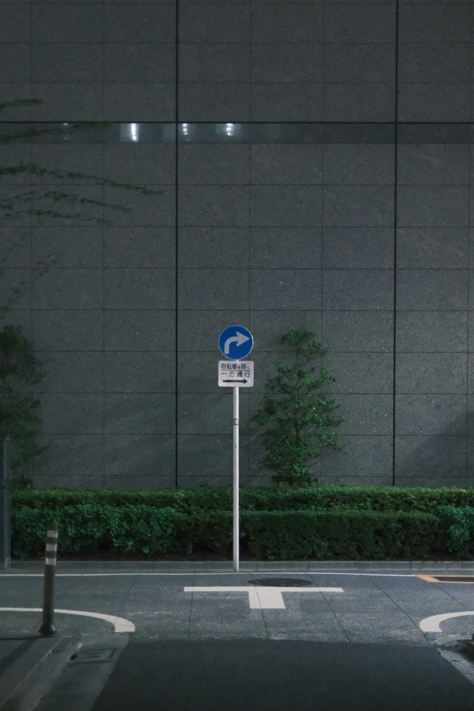 Traffic sign on a dark street with green shrubs