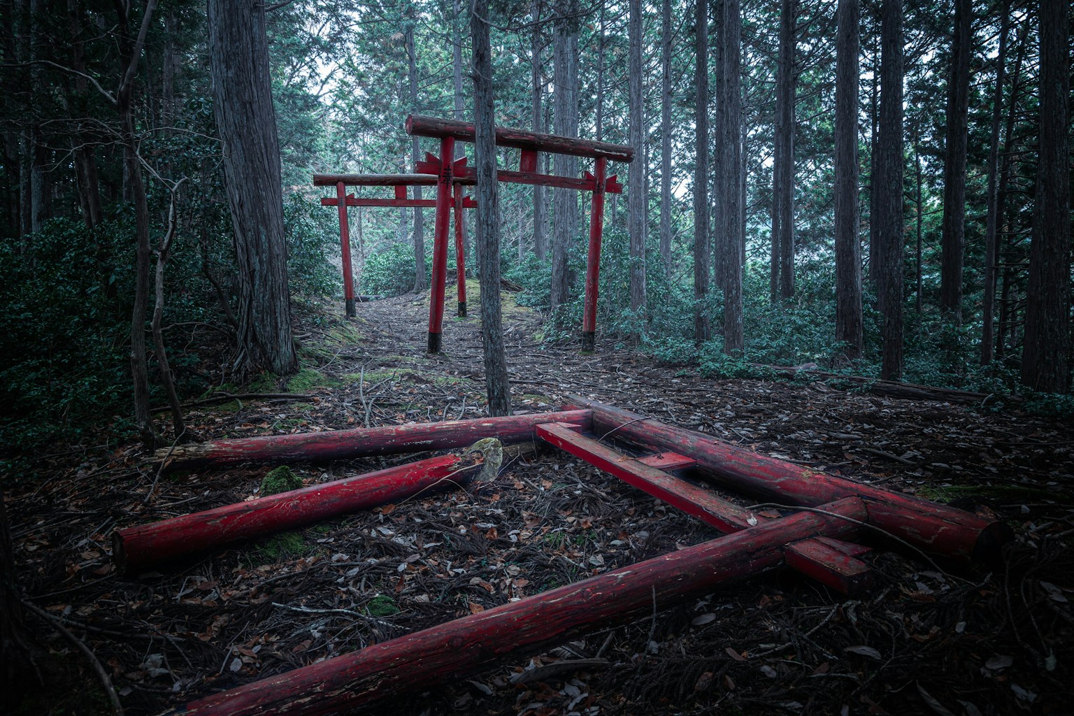 Gerbang torii merah di hutan dengan balok jatuh