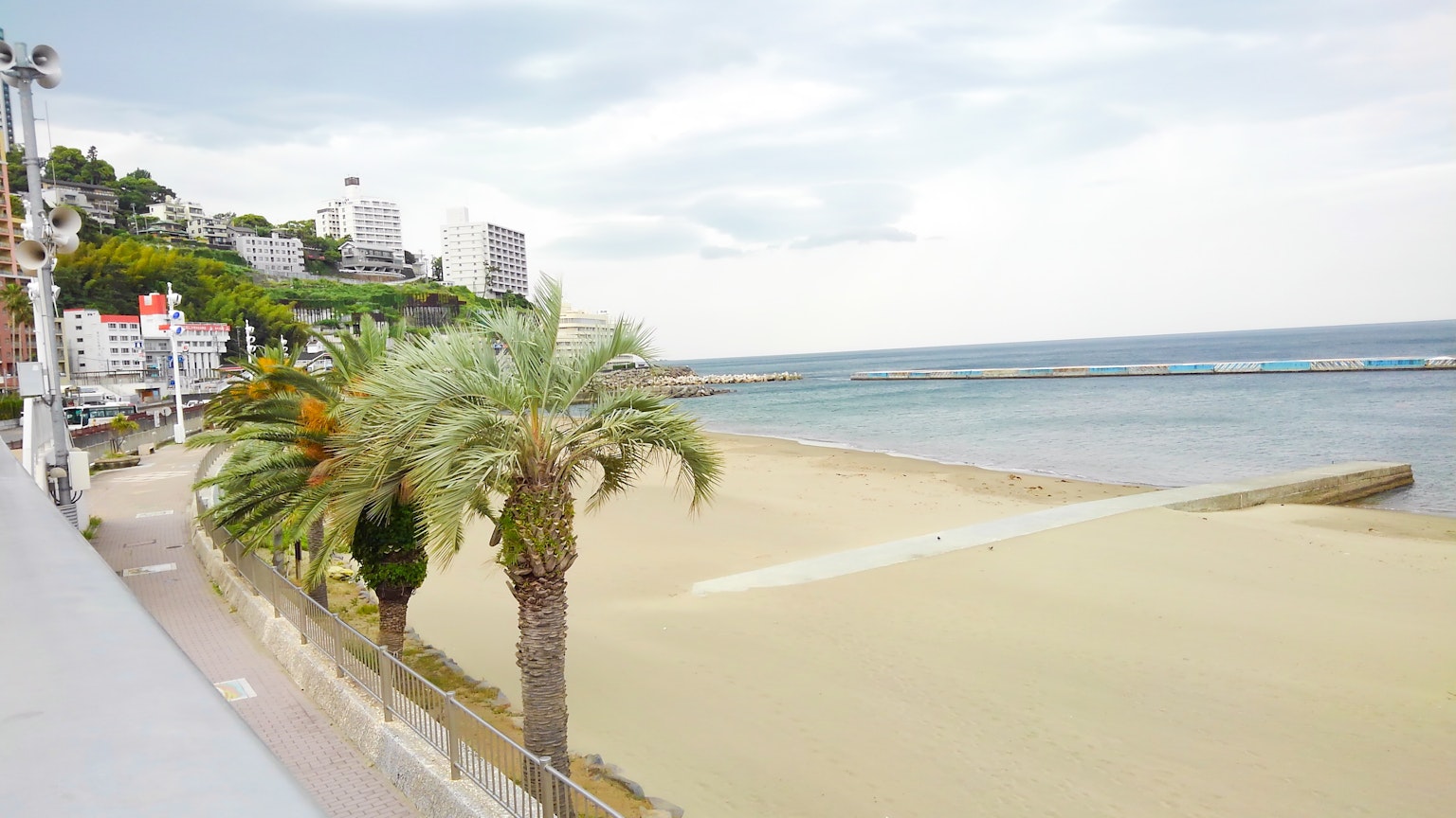 ทิวทัศน์ชายหาดพร้อมต้นปาล์มและชายฝั่ง