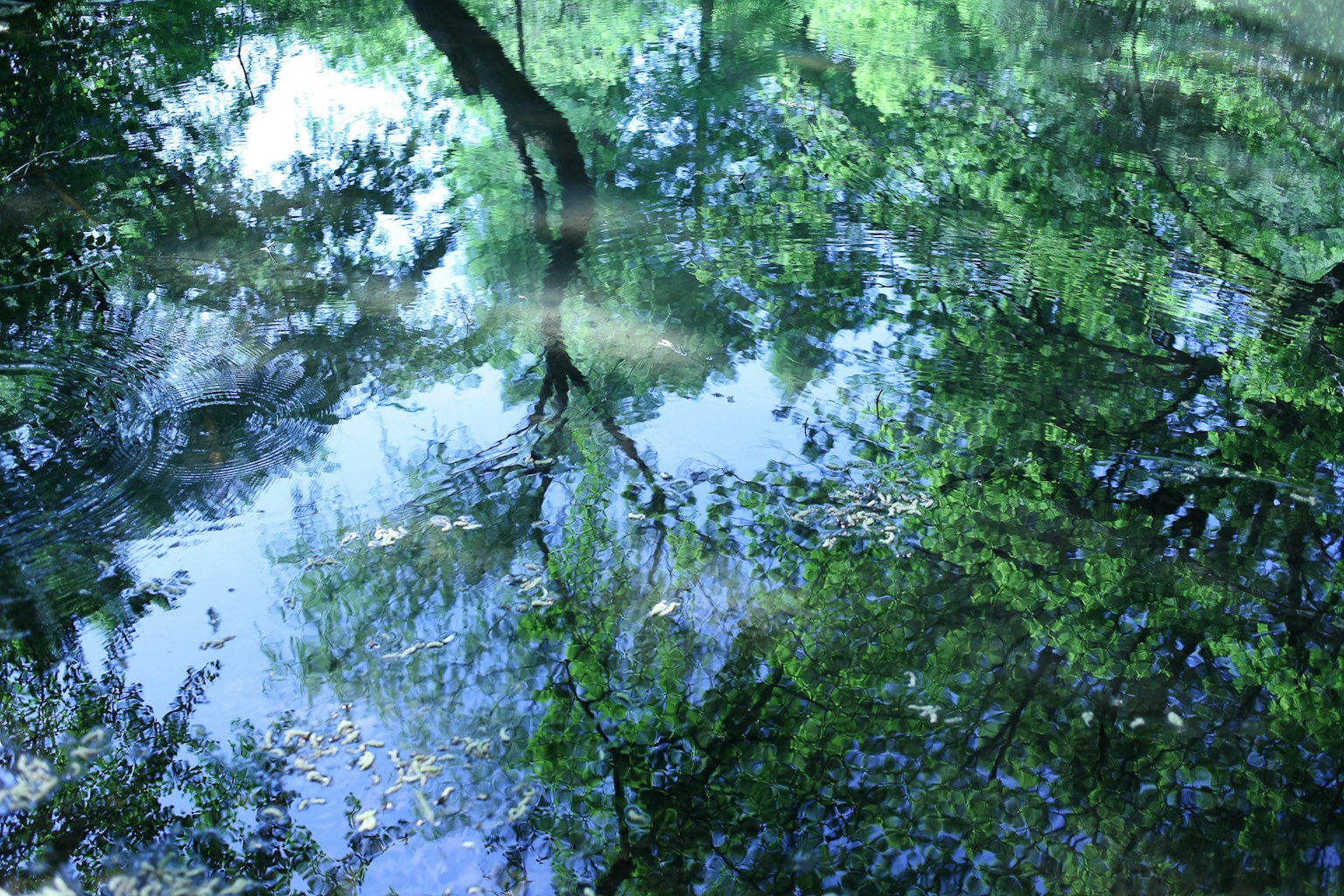 photo-rJFvT6A8w4ZmoIYlV0Wo-image