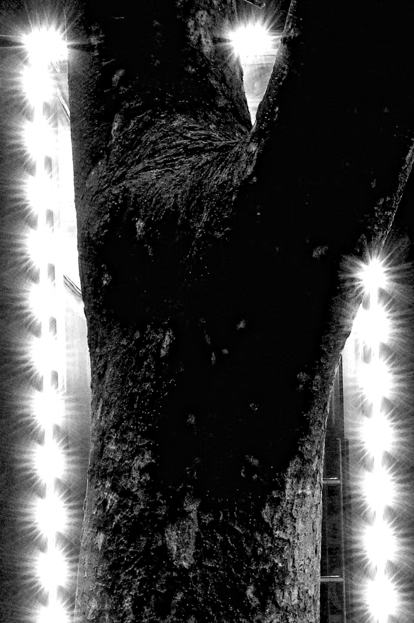 photo-rJmVlO0ApEaFdwFhNxIk