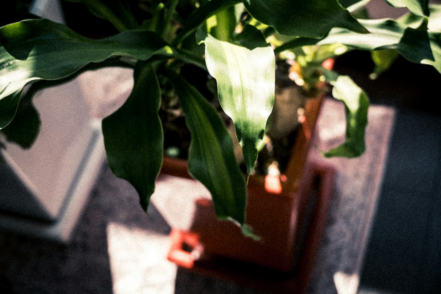 photo-rK5jtUl8CnlBiqVARypz-image