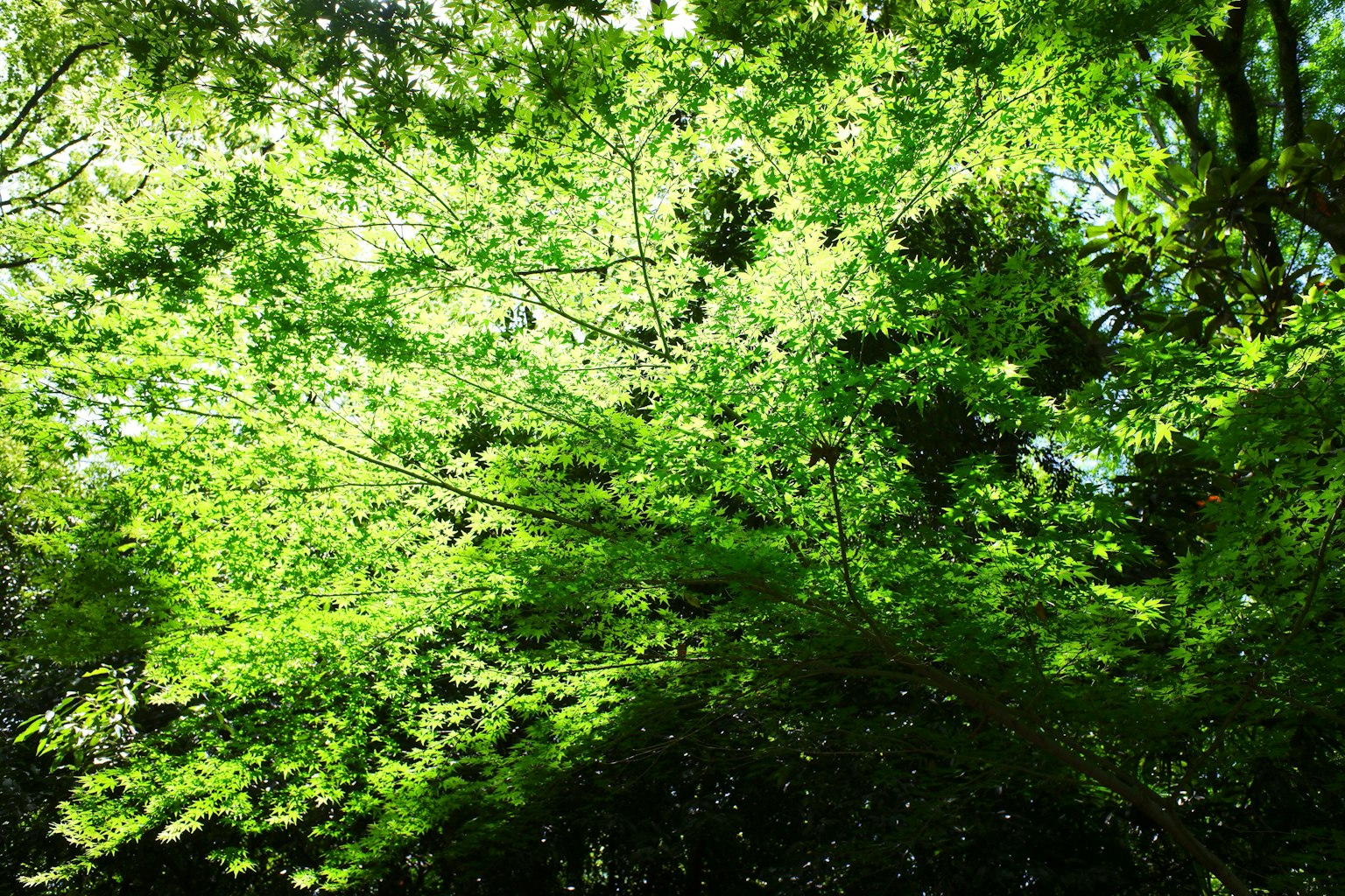 photo-rKCr30Z5w8y8LSsIxOQ4-image