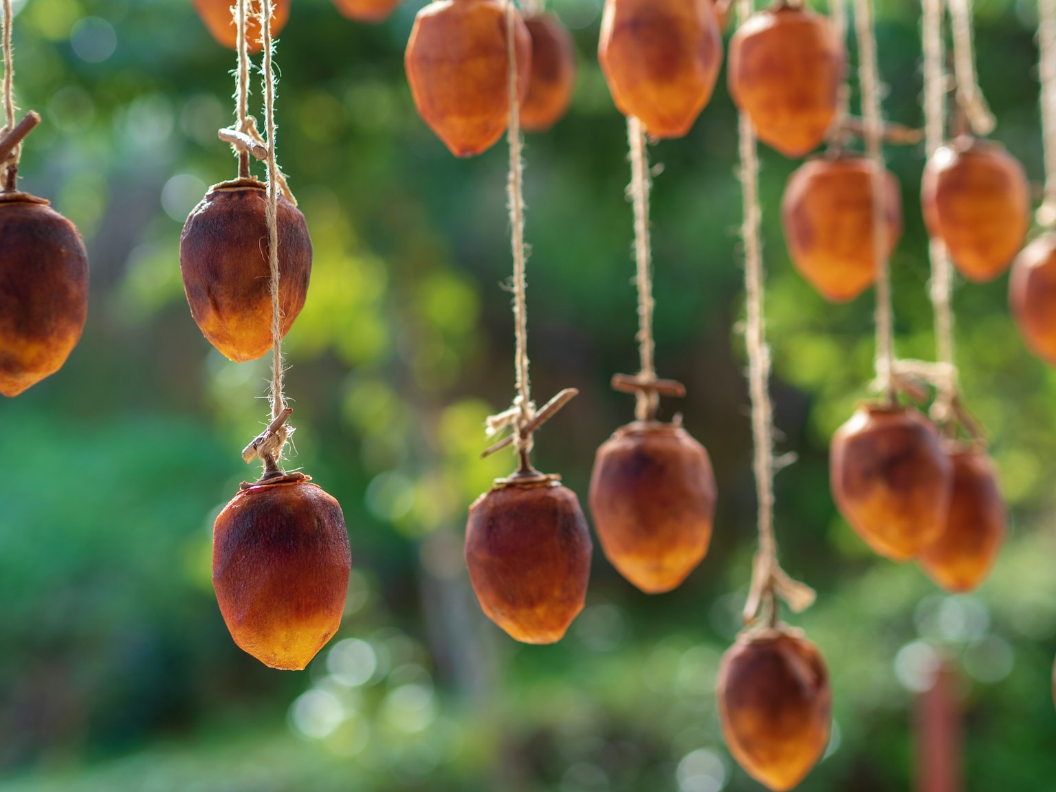 Frutti secchi appesi a delle corde all'aperto