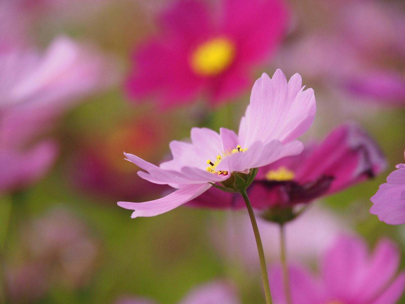 photo-rKEJL5NN1kdo3XJAsBmG-image