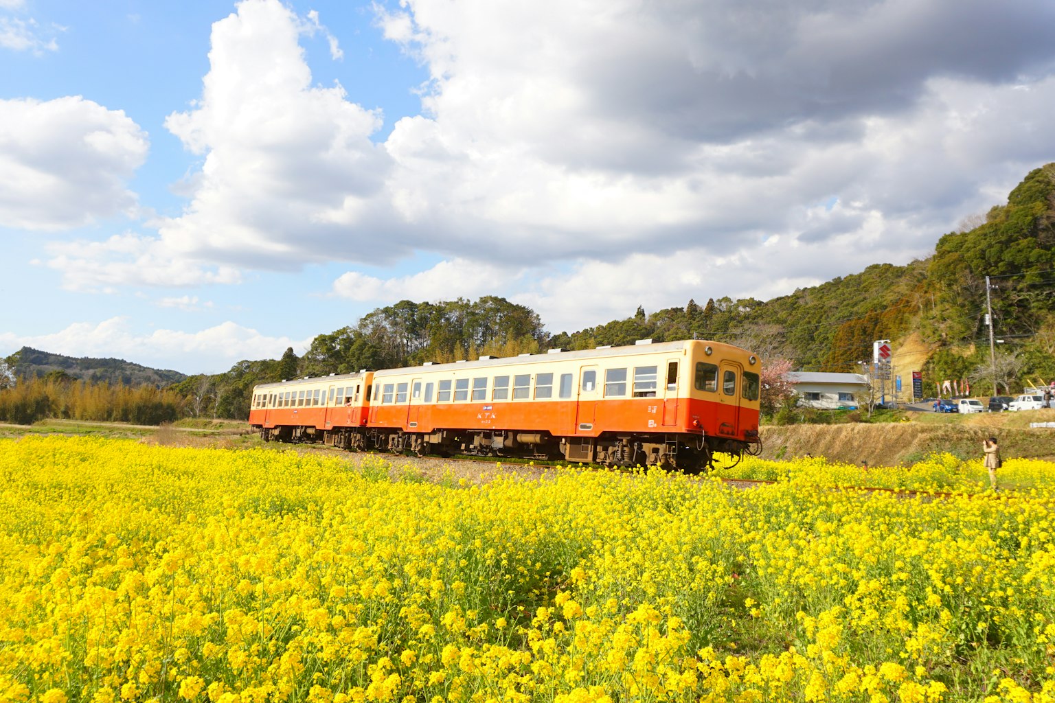 Orangefarbener Zug, der durch ein Feld mit gelben Blumen unter einem blauen Himmel fährt